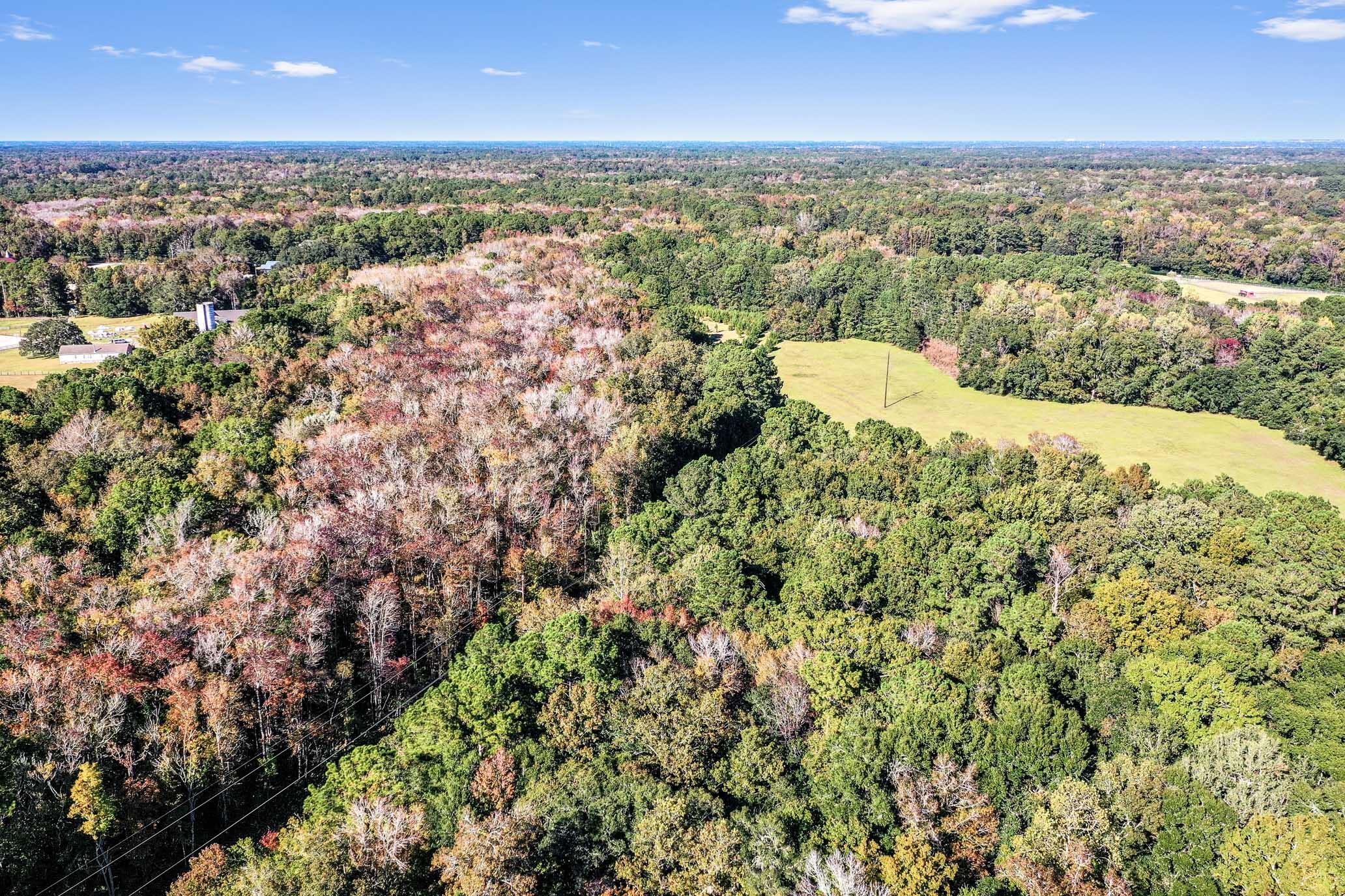 2418 Plow Ground Road