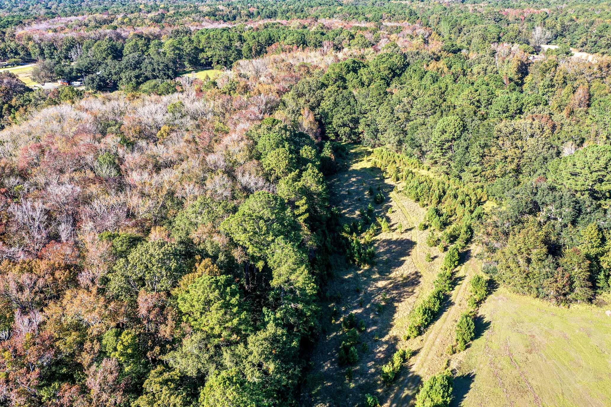 2418 Plow Ground Road