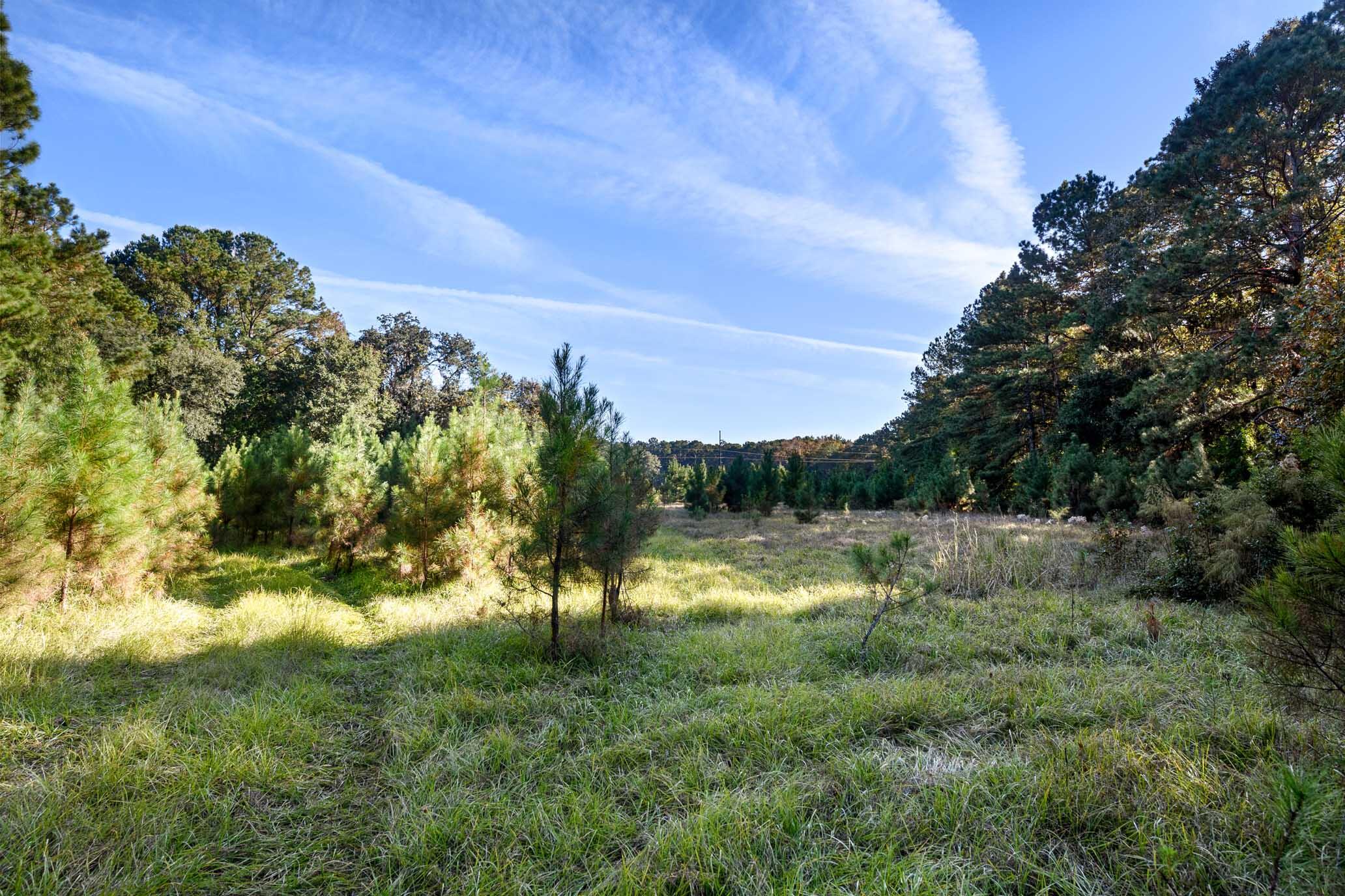2418 Plow Ground Road