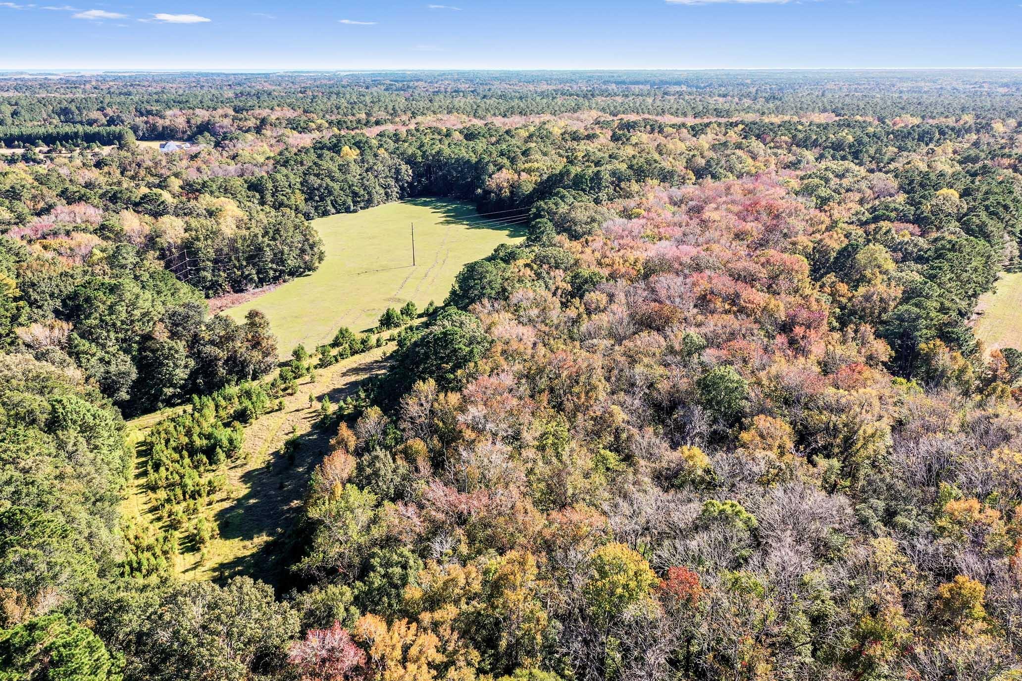 2418 Plow Ground Road