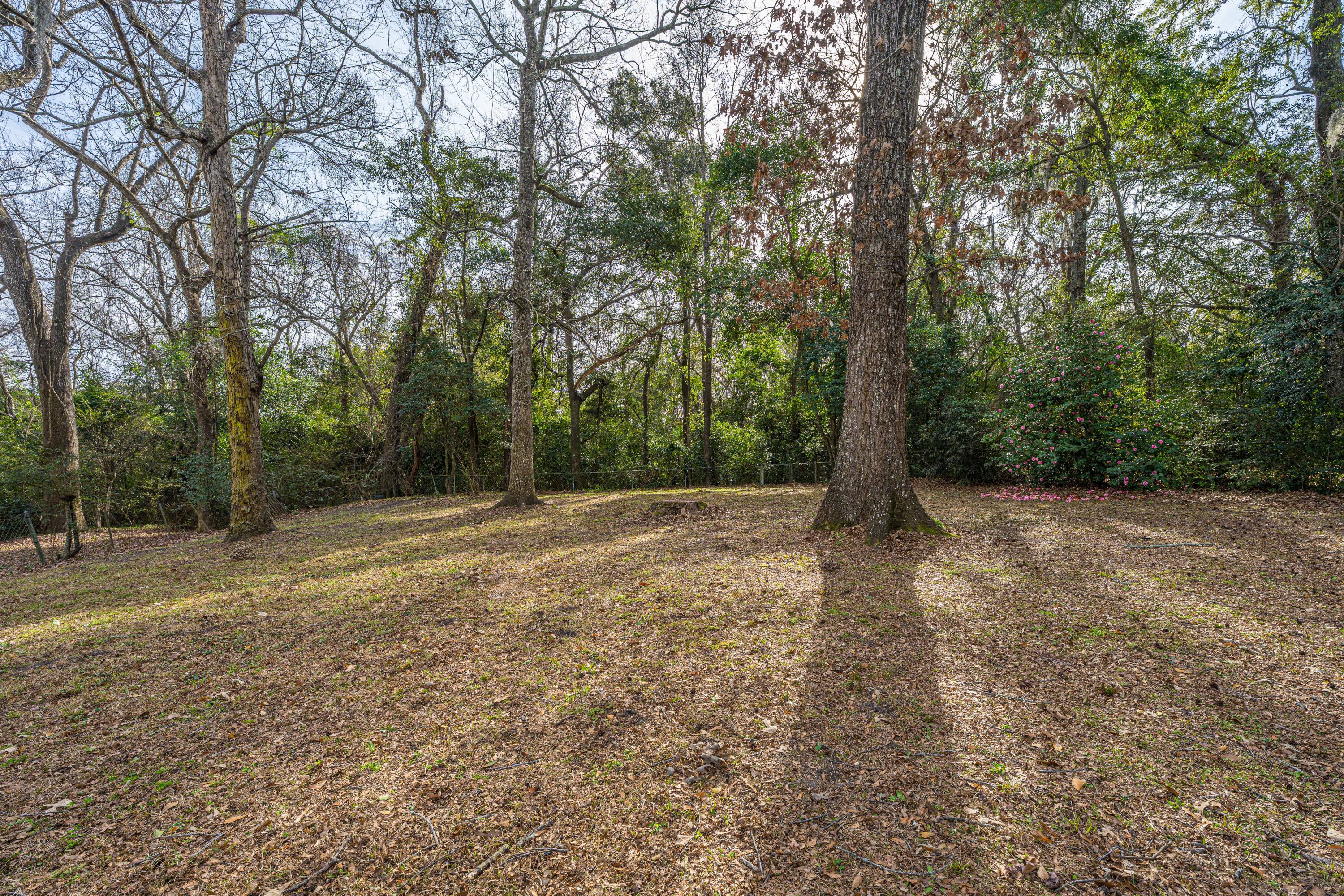 4315 Withers Drive Drive