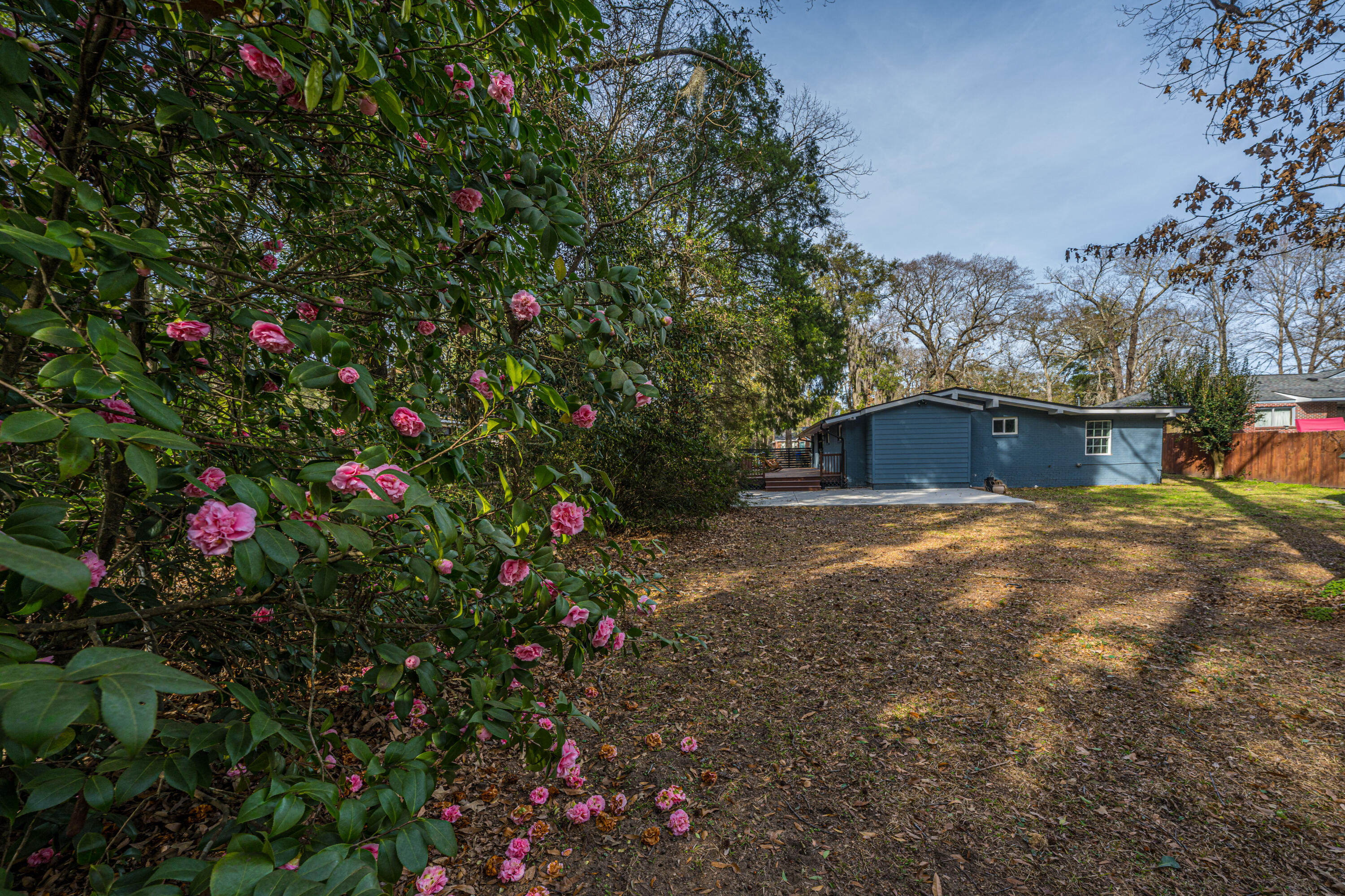 4315 Withers Drive Drive