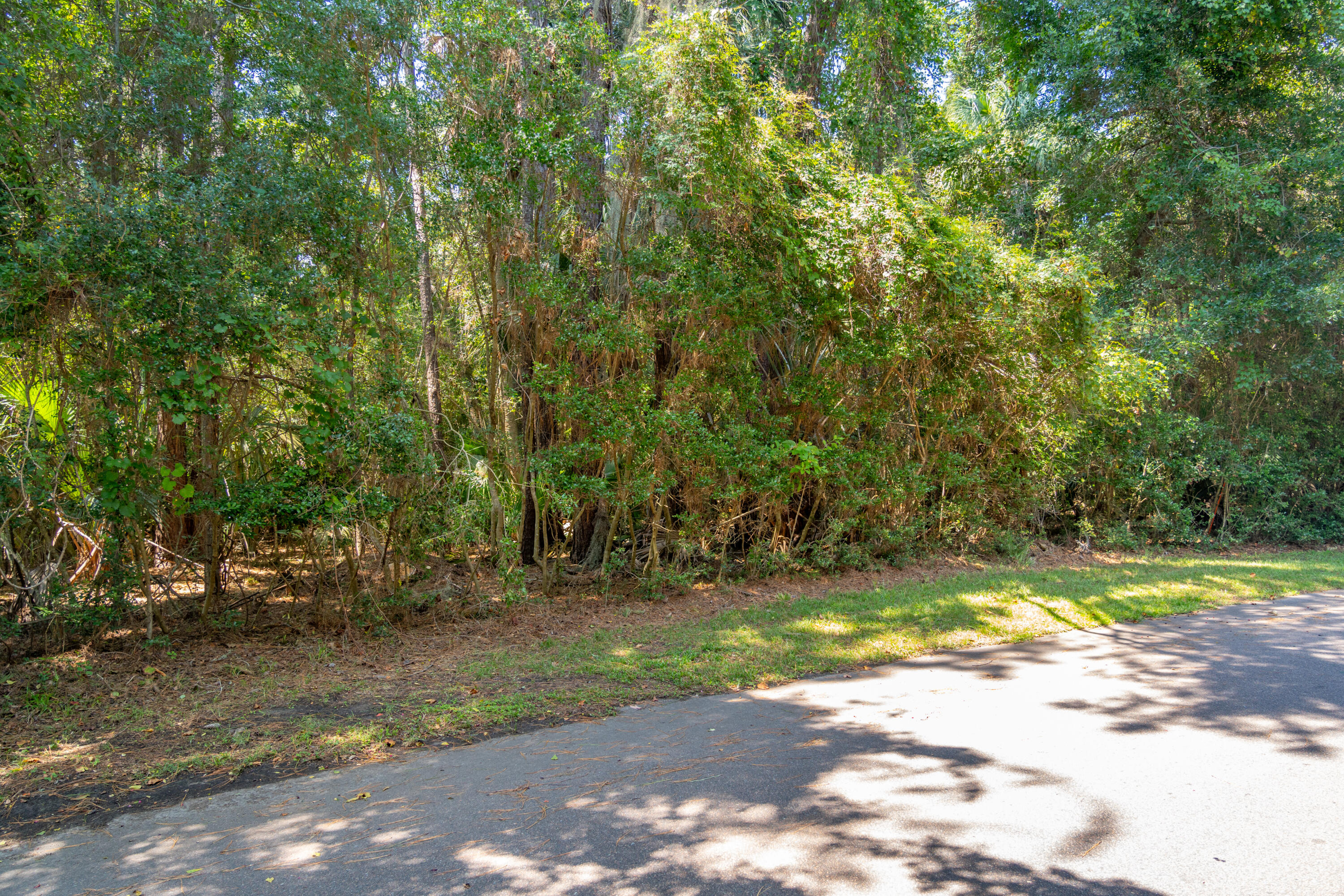 2160 Royal Pine Drive