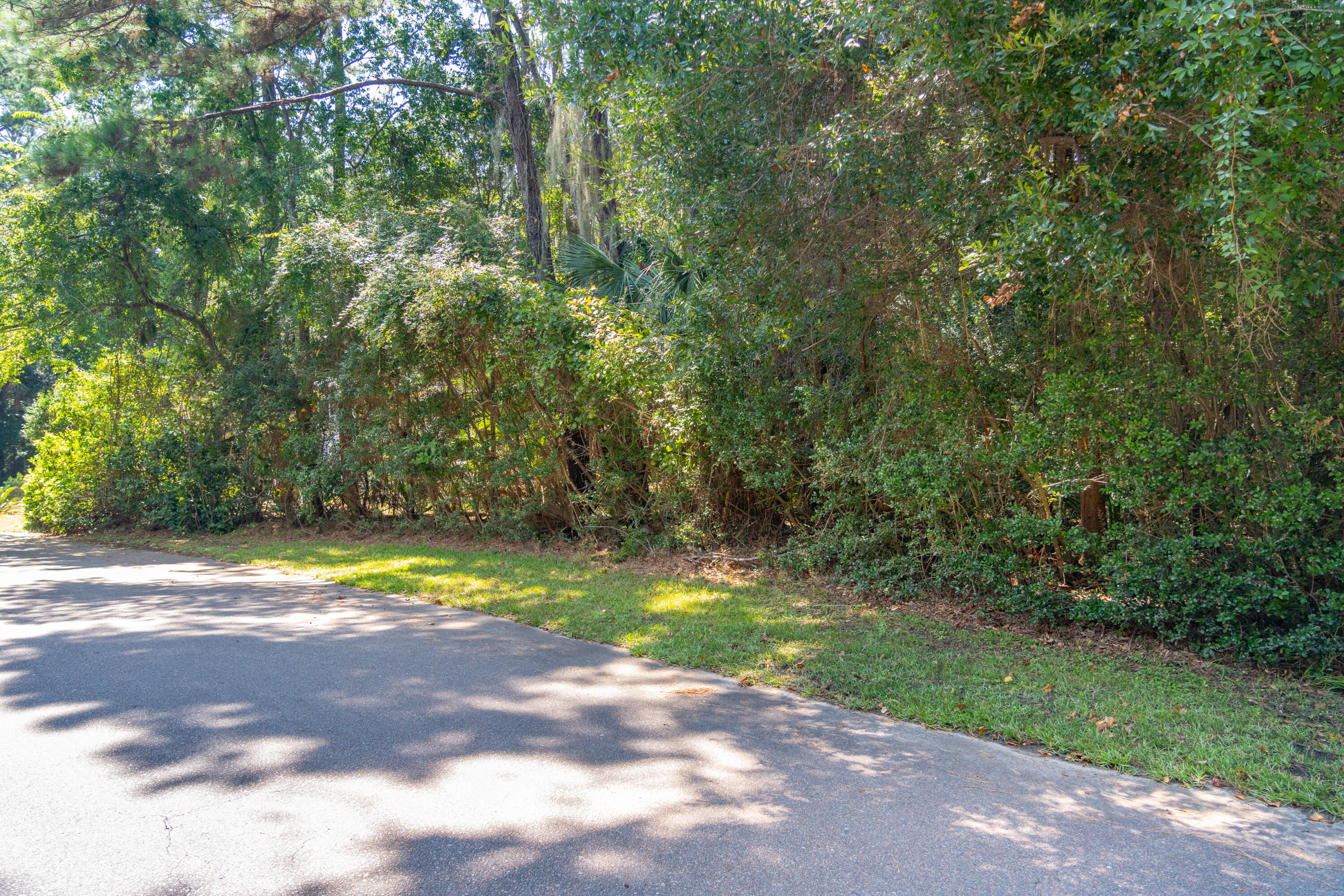 2160 Royal Pine Drive