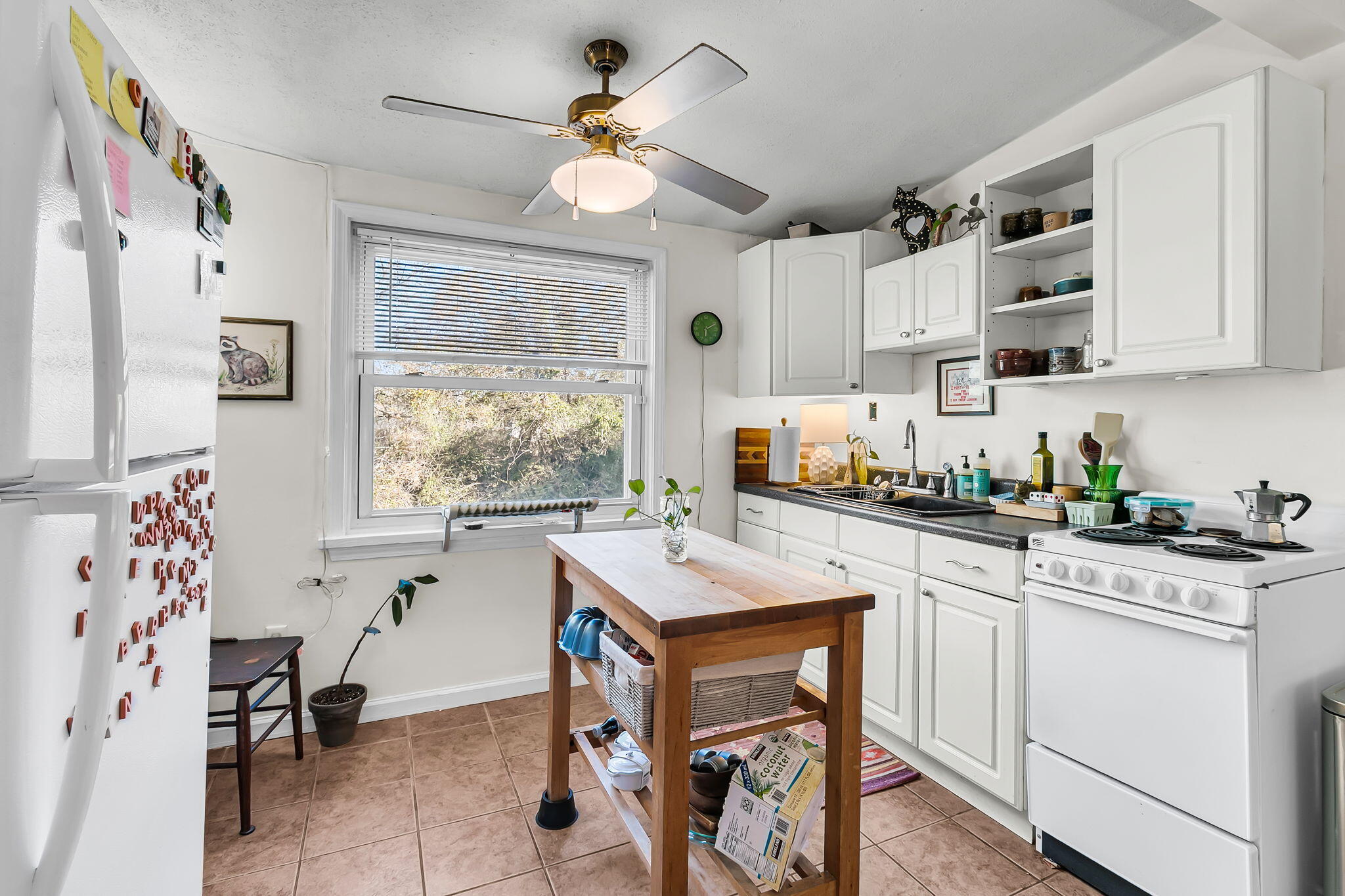 1644 Pinckney Park Drive