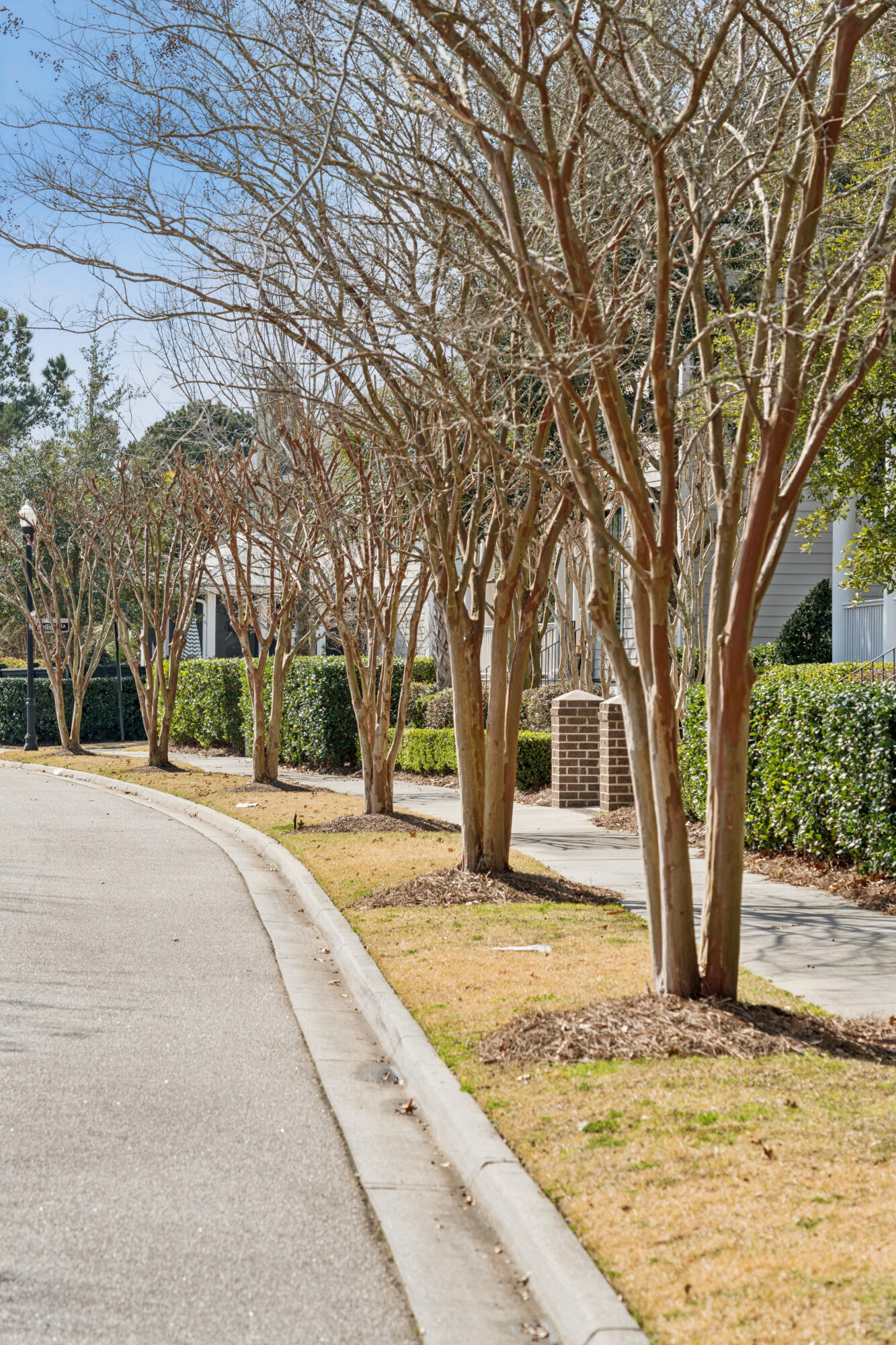 217 Amberjack Lane
