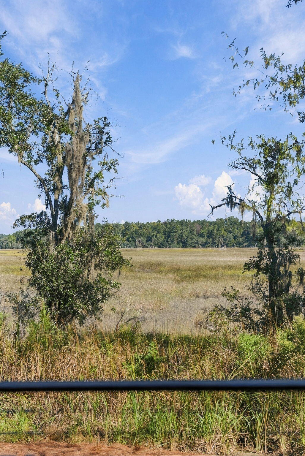 4013 Bulow Landing Road