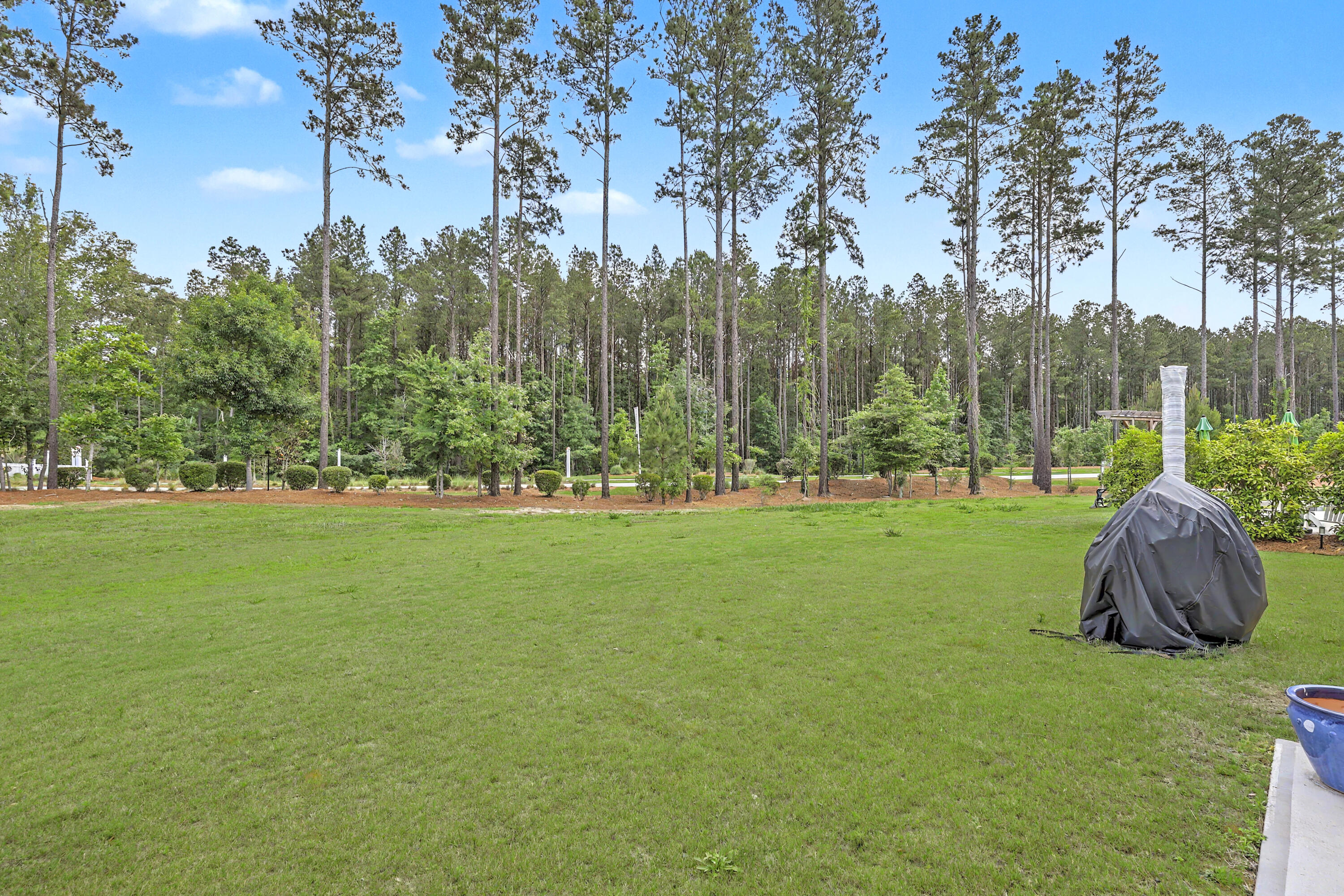 1054 Magnolia Warbler Way