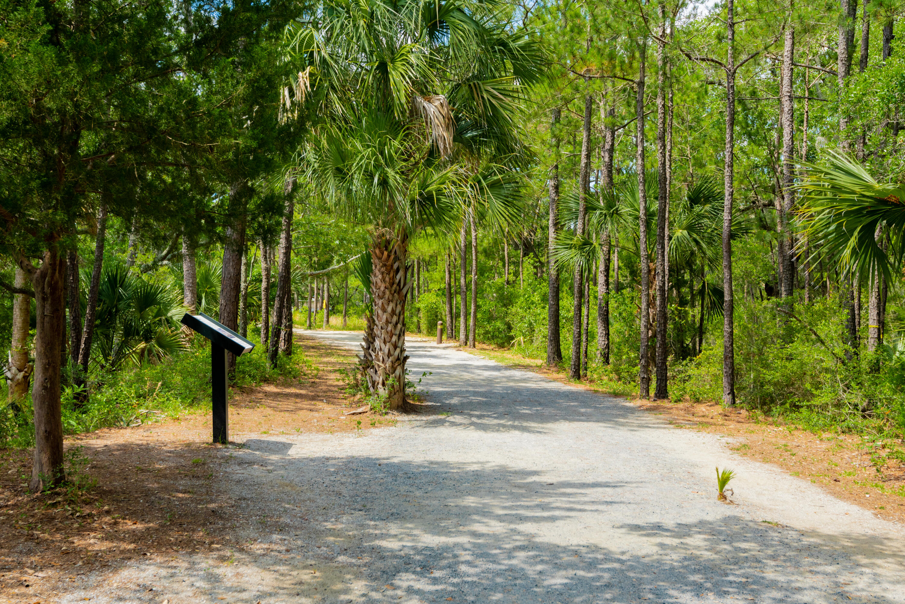 200 River Landing Drive # 102a