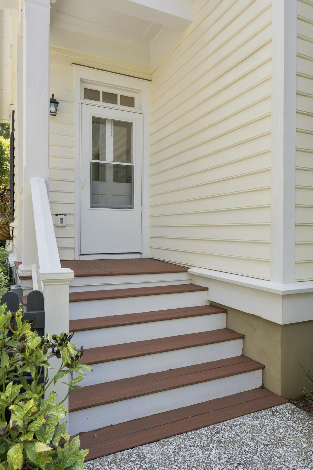 55 Montrose Road