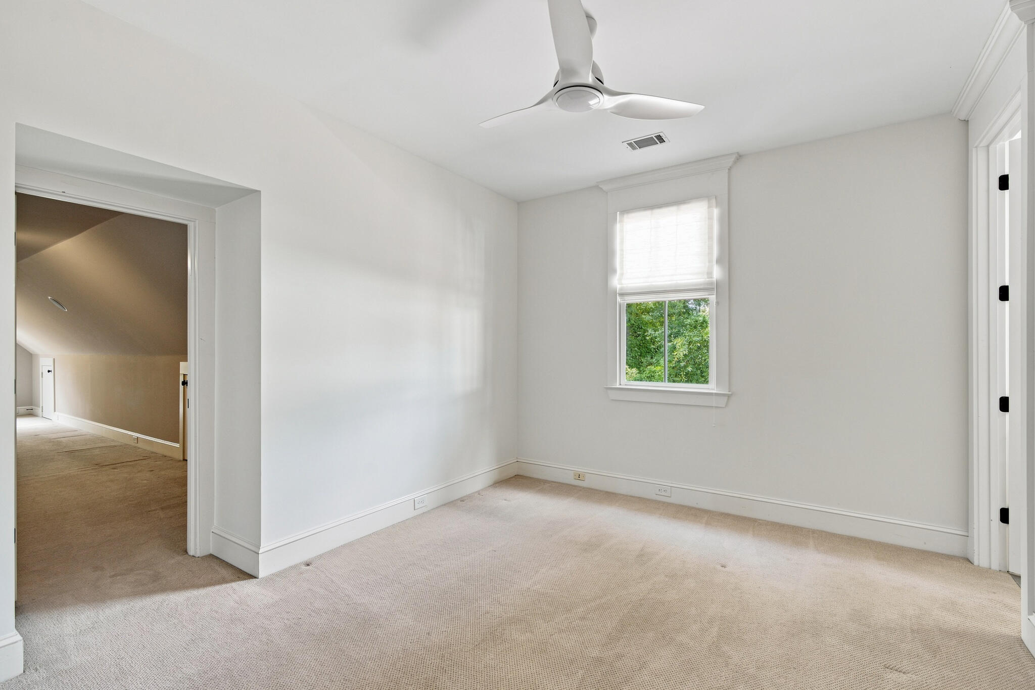 55 Montrose Road