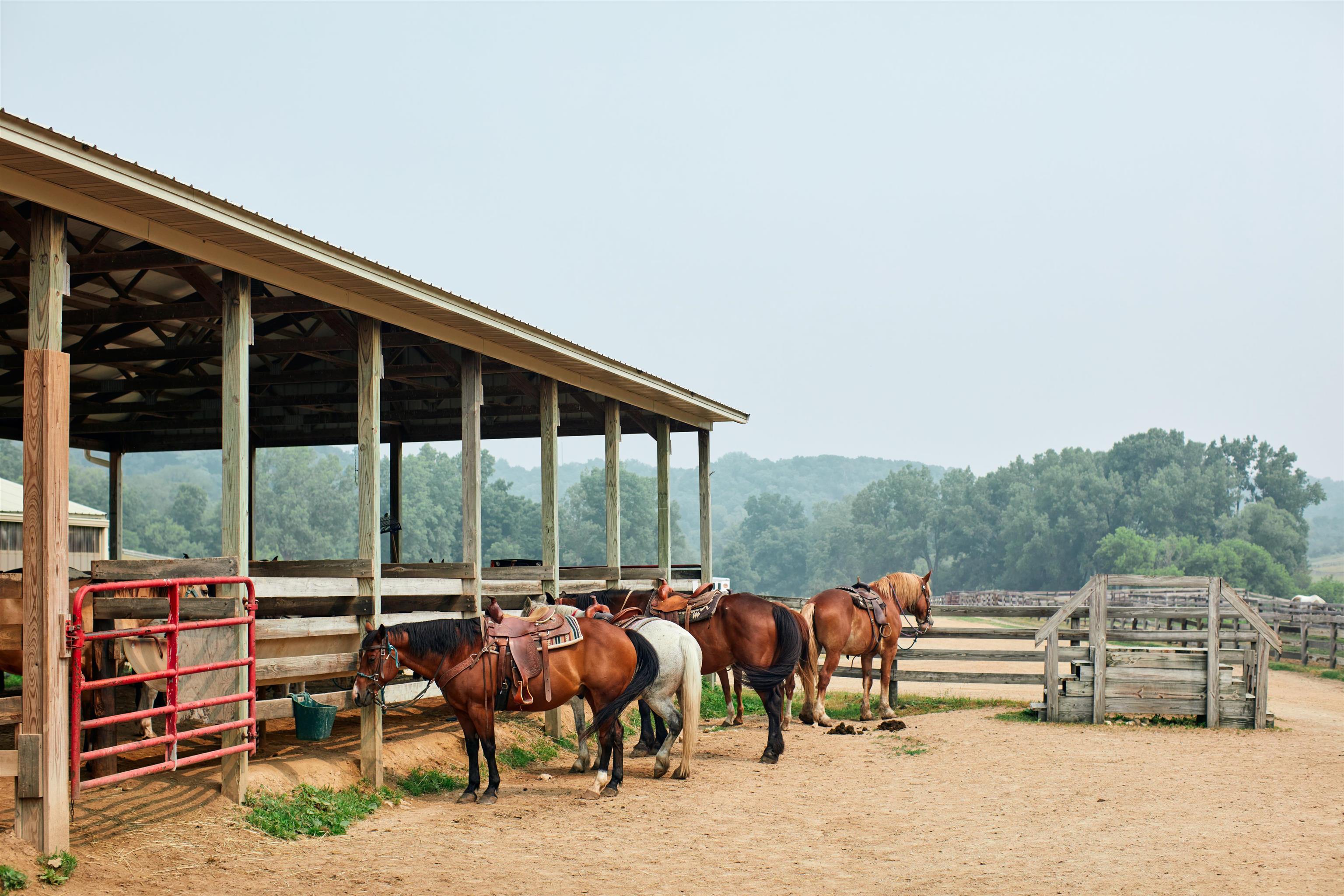 Wooden horse stable and paddock with saddled horses, a red gate, and wooded hills beyond.