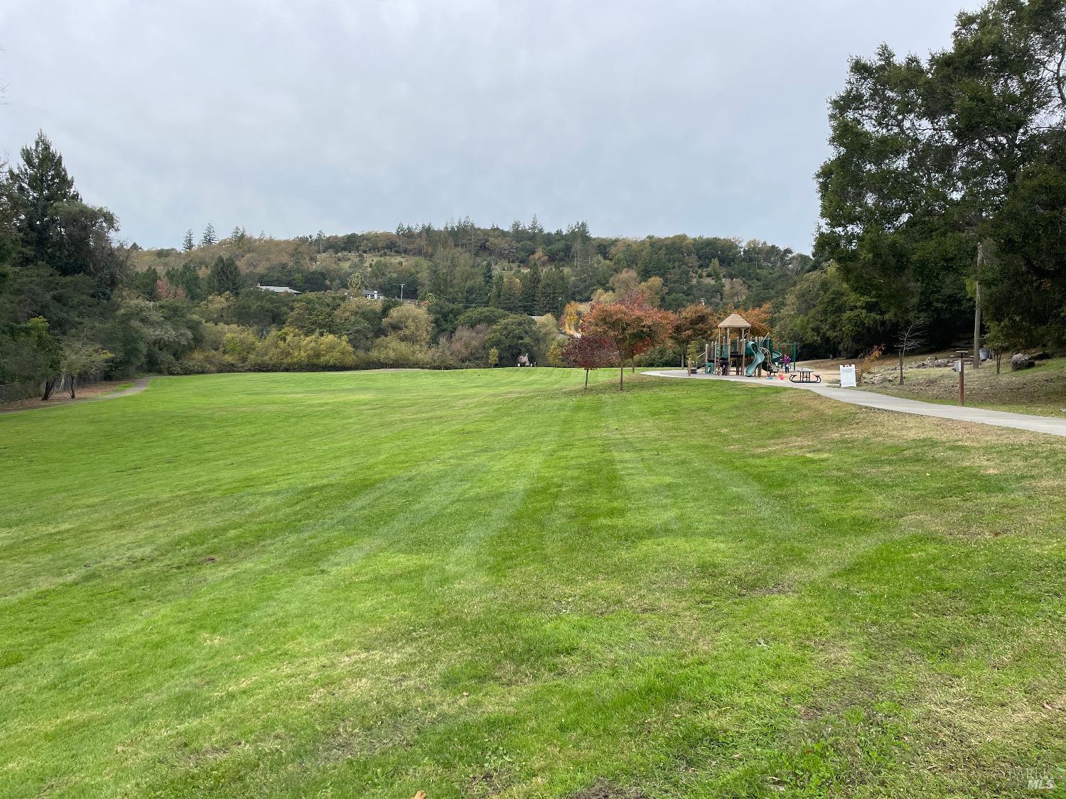 3521 Sleepy Hollow Drive