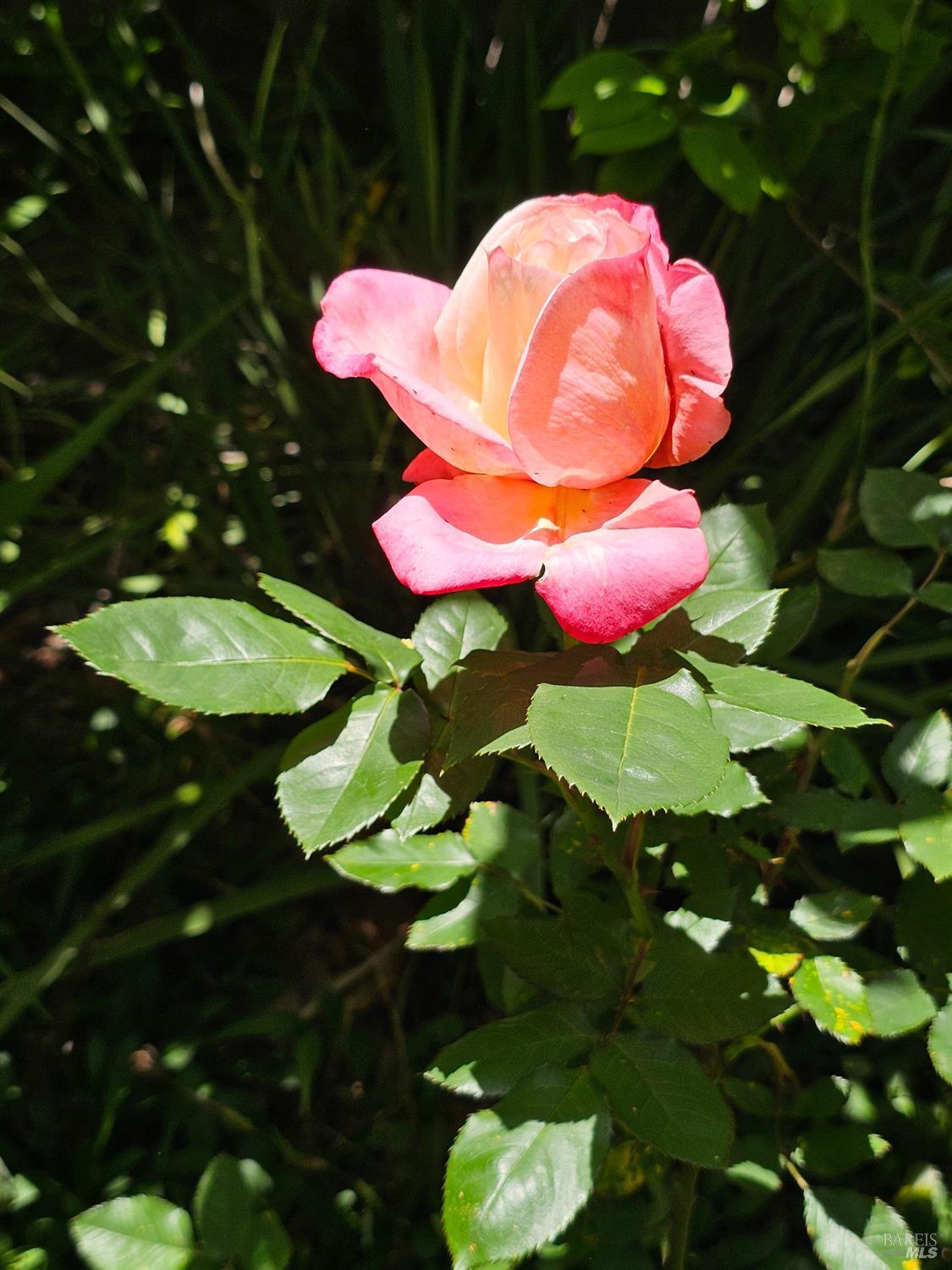 1941 Matzen Ranch Circle