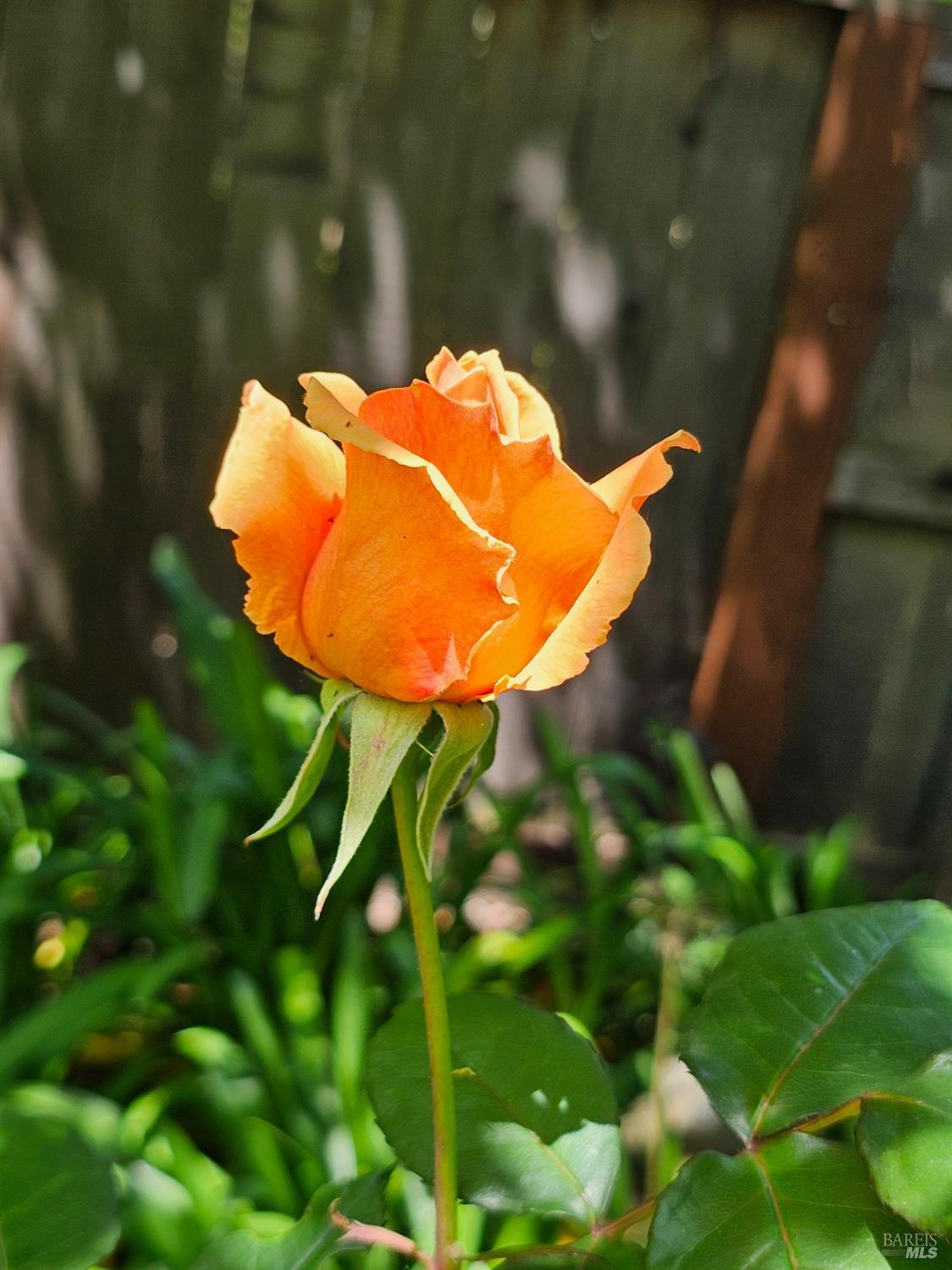 1941 Matzen Ranch Circle