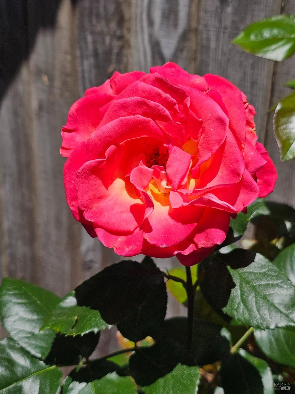 1941 Matzen Ranch Circle