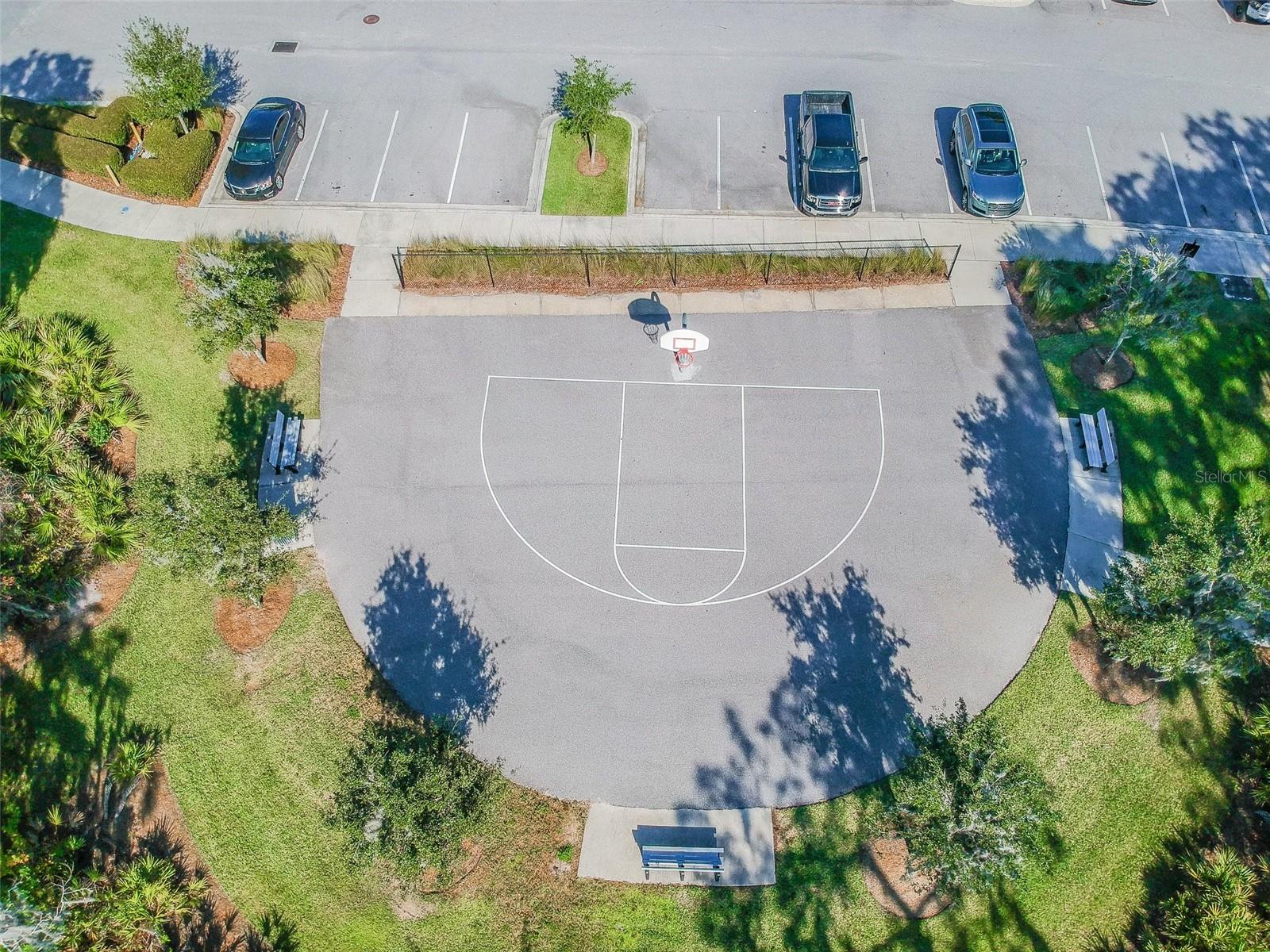 11862 FROST ASTER DR