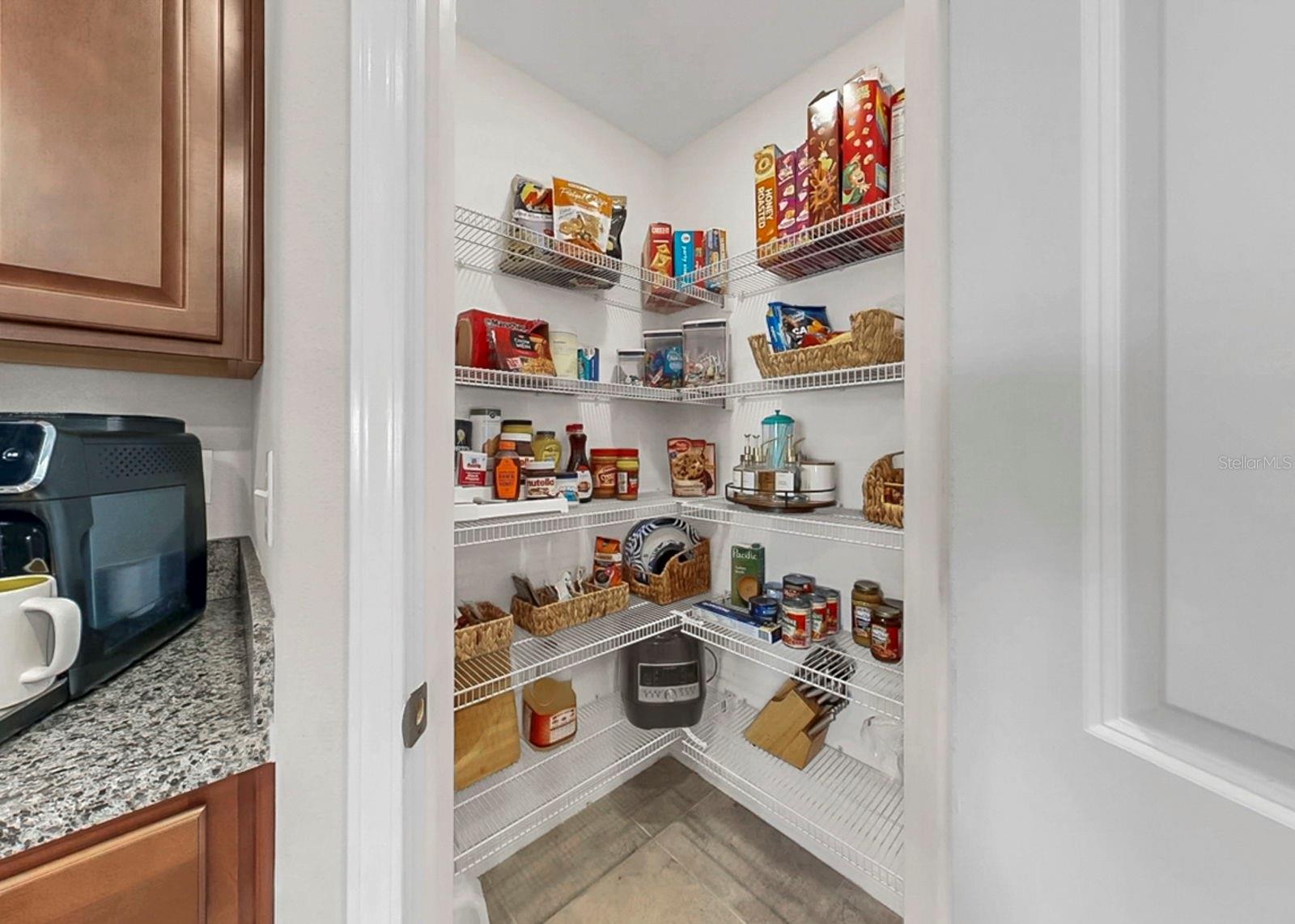 1624 BROAD WINGED HAWK DR