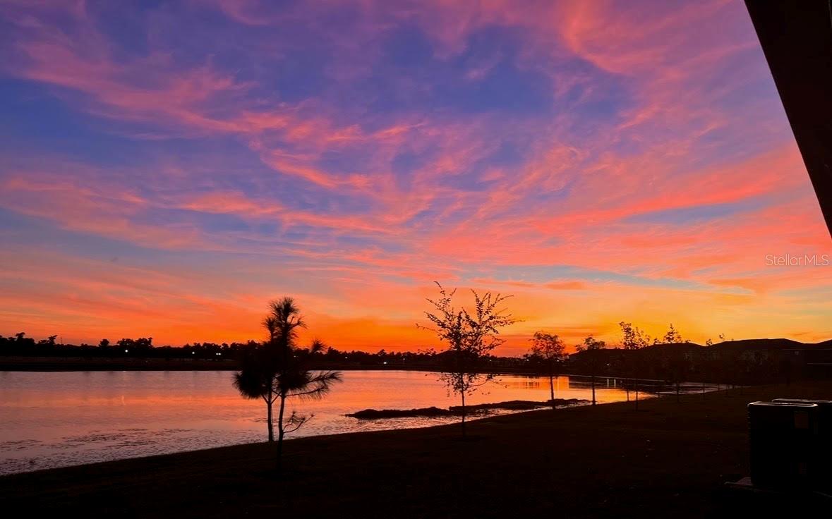 263 MANGROVE SHADE CIR