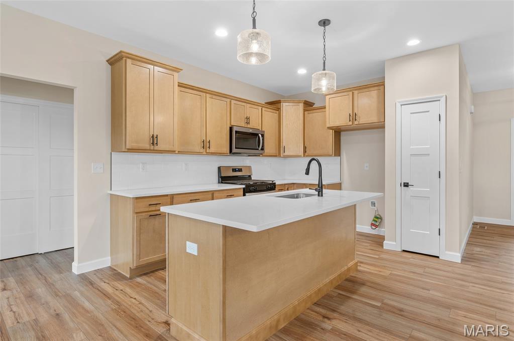 1819 Robins Mill Court