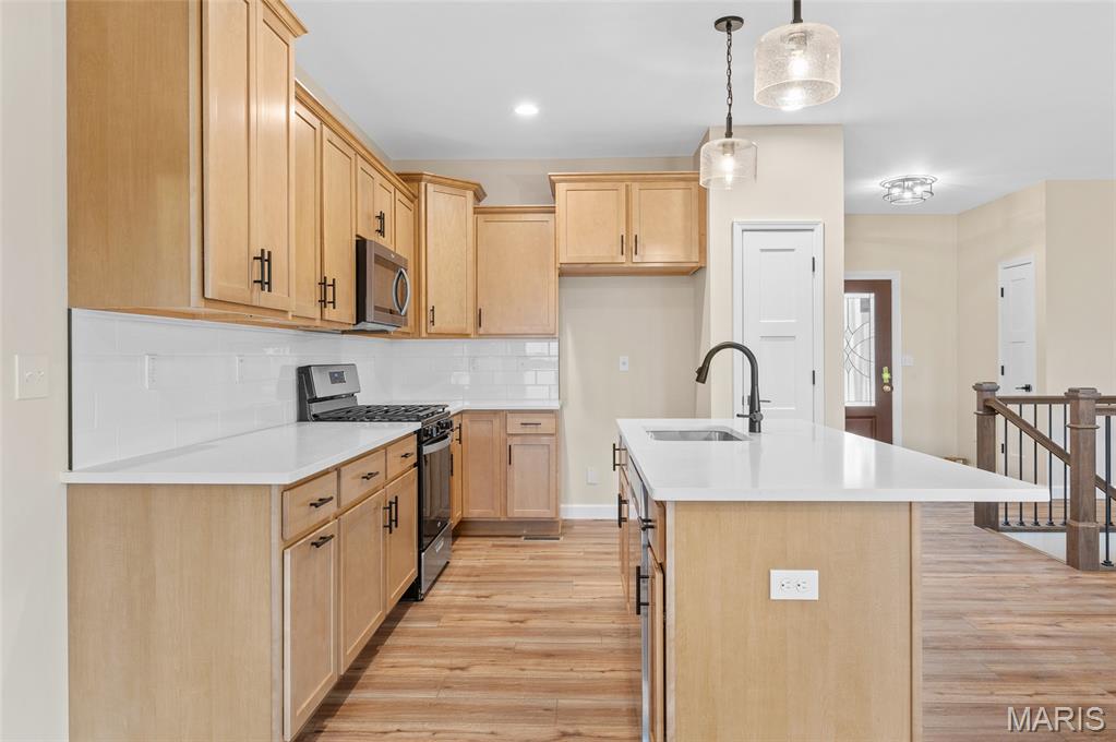 1819 Robins Mill Court