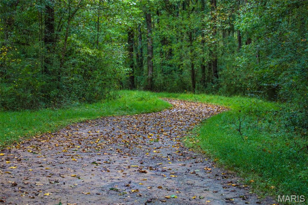 13703 Timberline Road