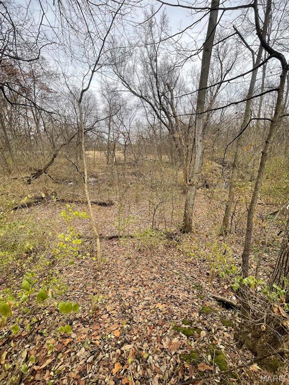 13703 Timberline Road