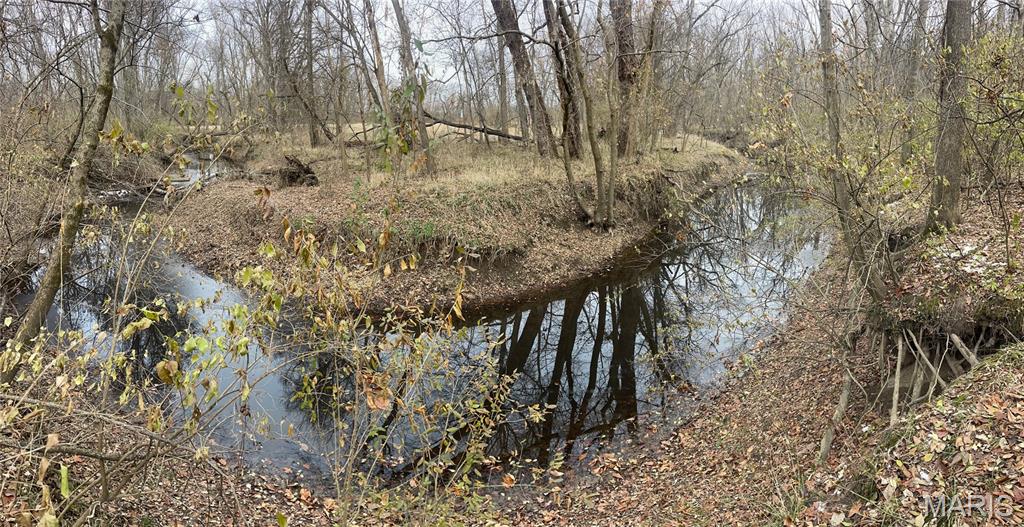 13703 Timberline Road