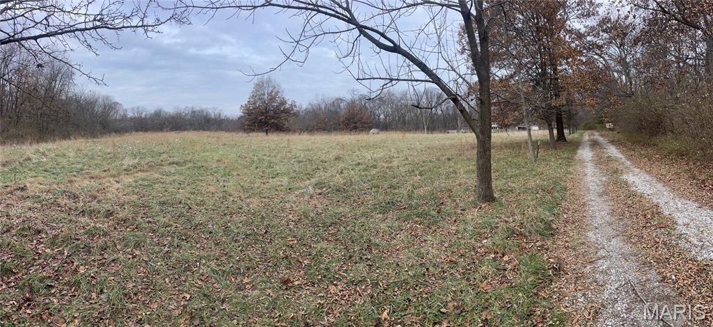 13703 Timberline Road