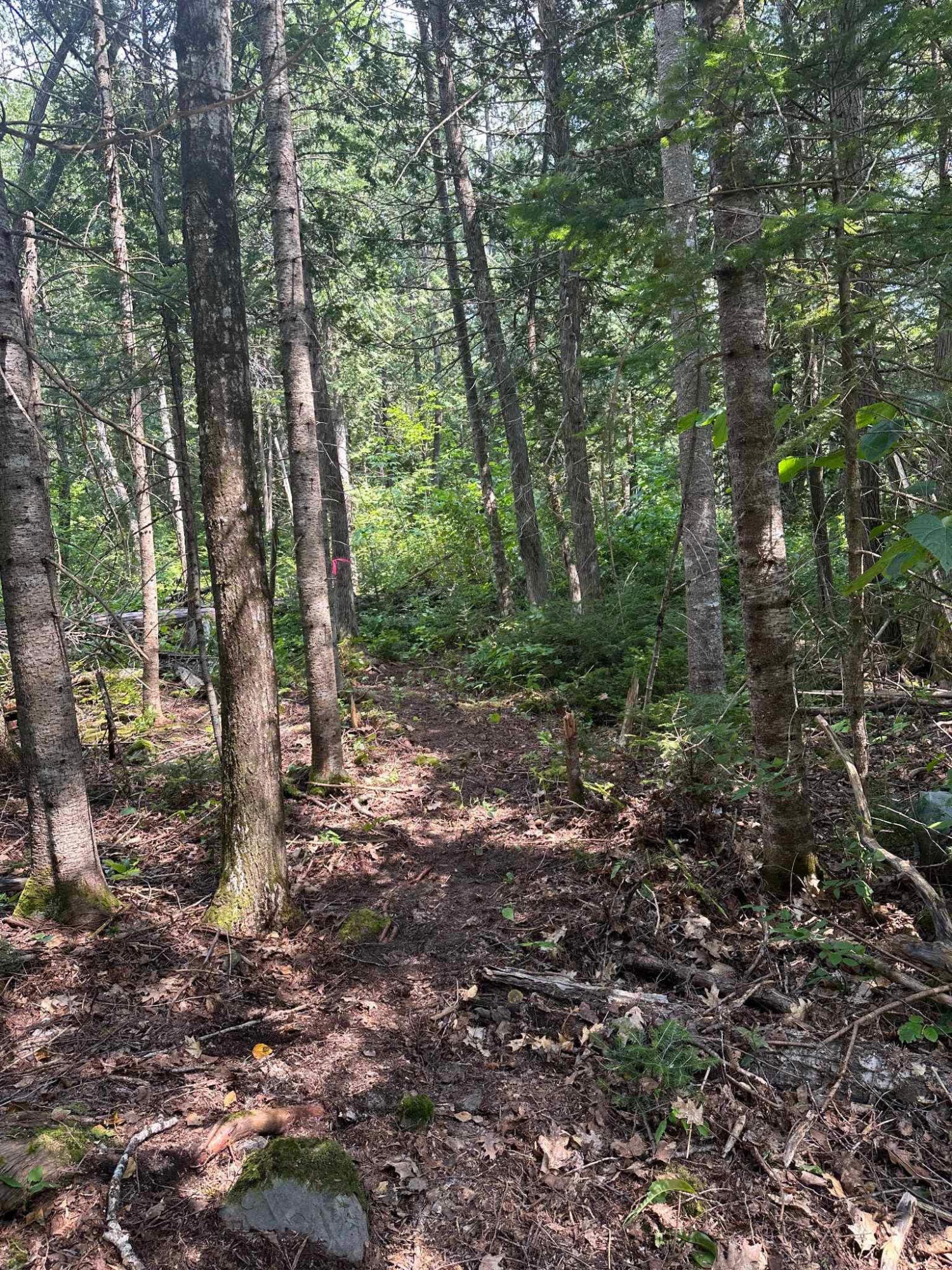 76 Bailey Bridge Road