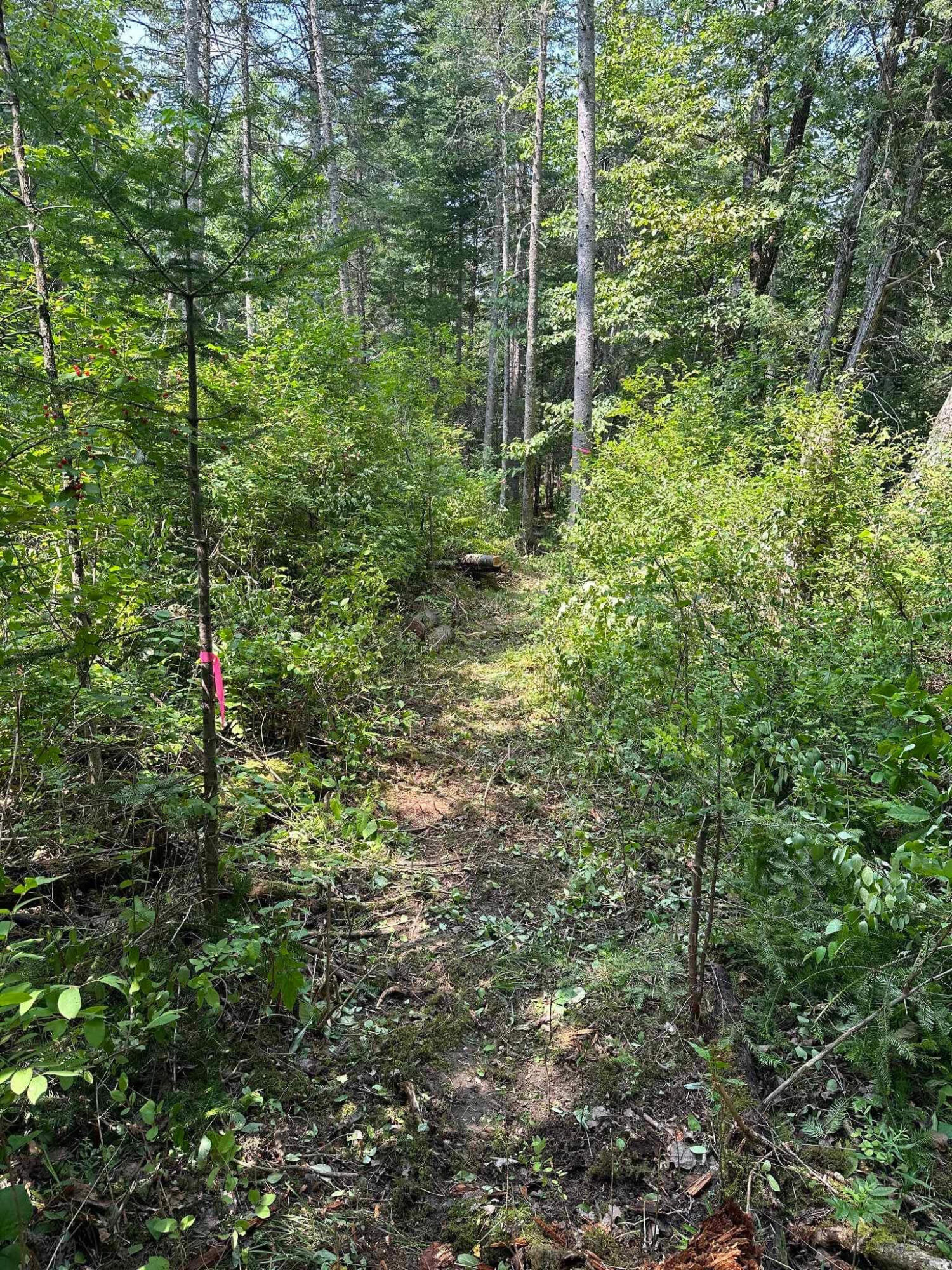 76 Bailey Bridge Road