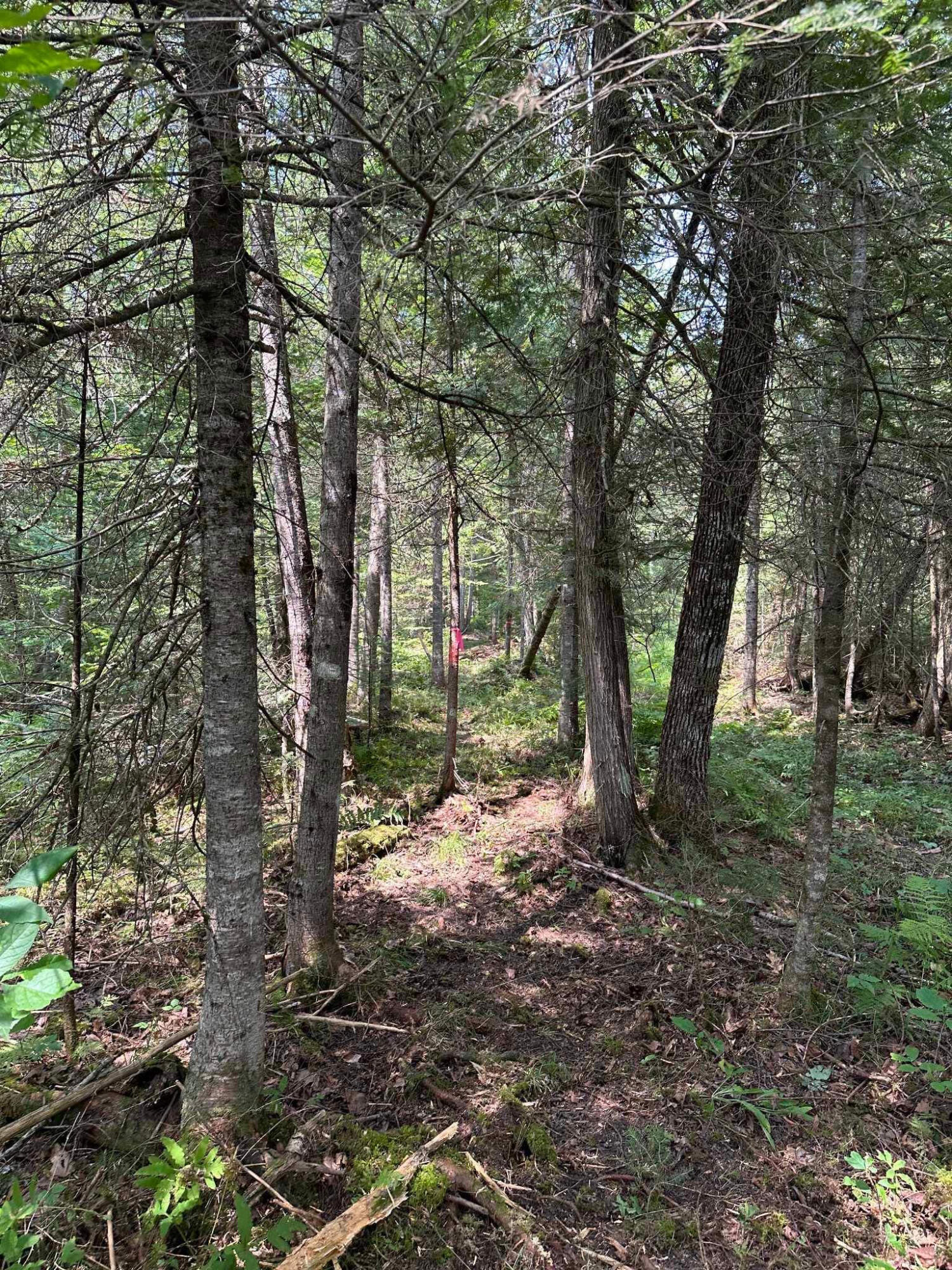 76 Bailey Bridge Road