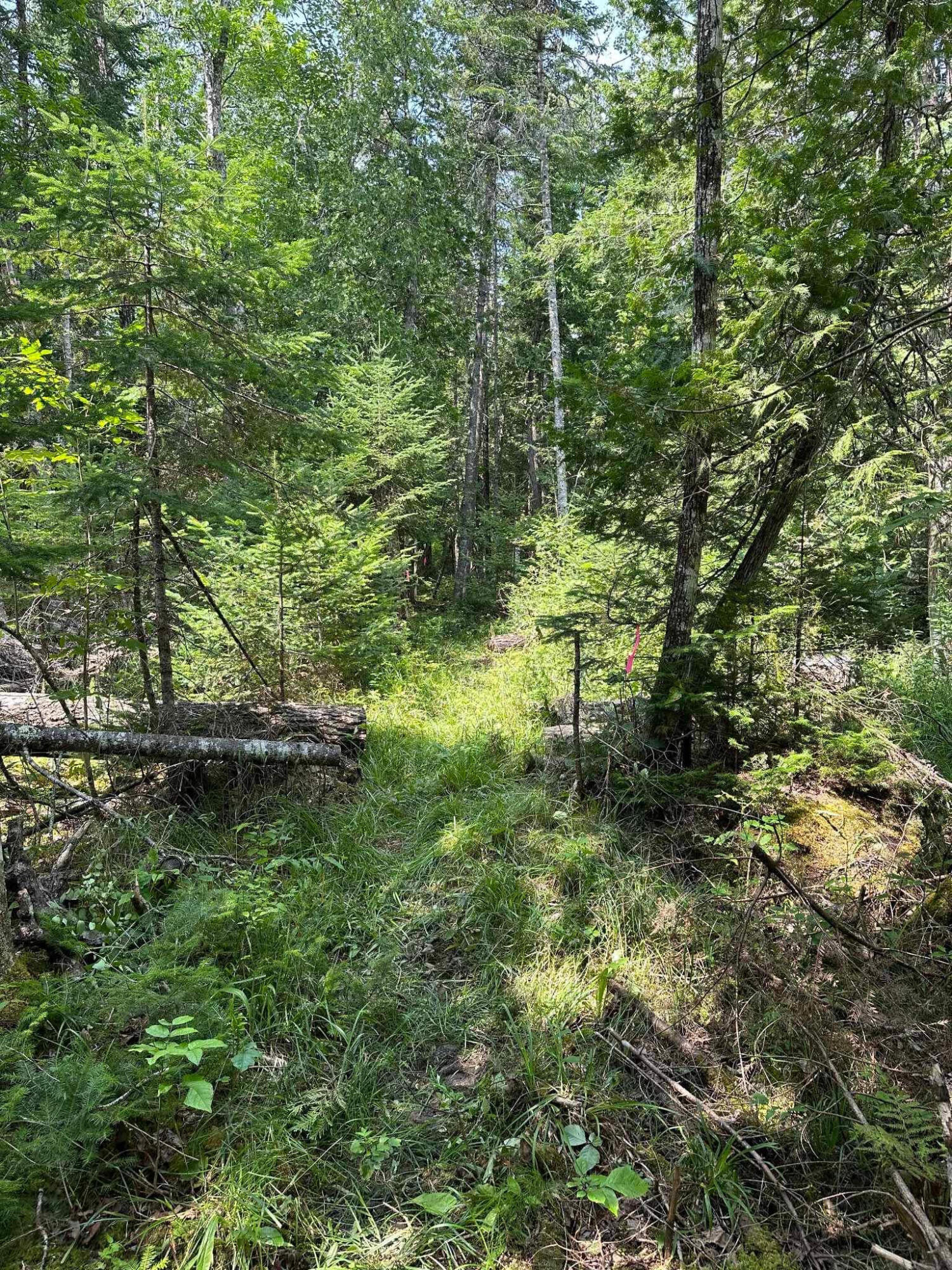 76 Bailey Bridge Road