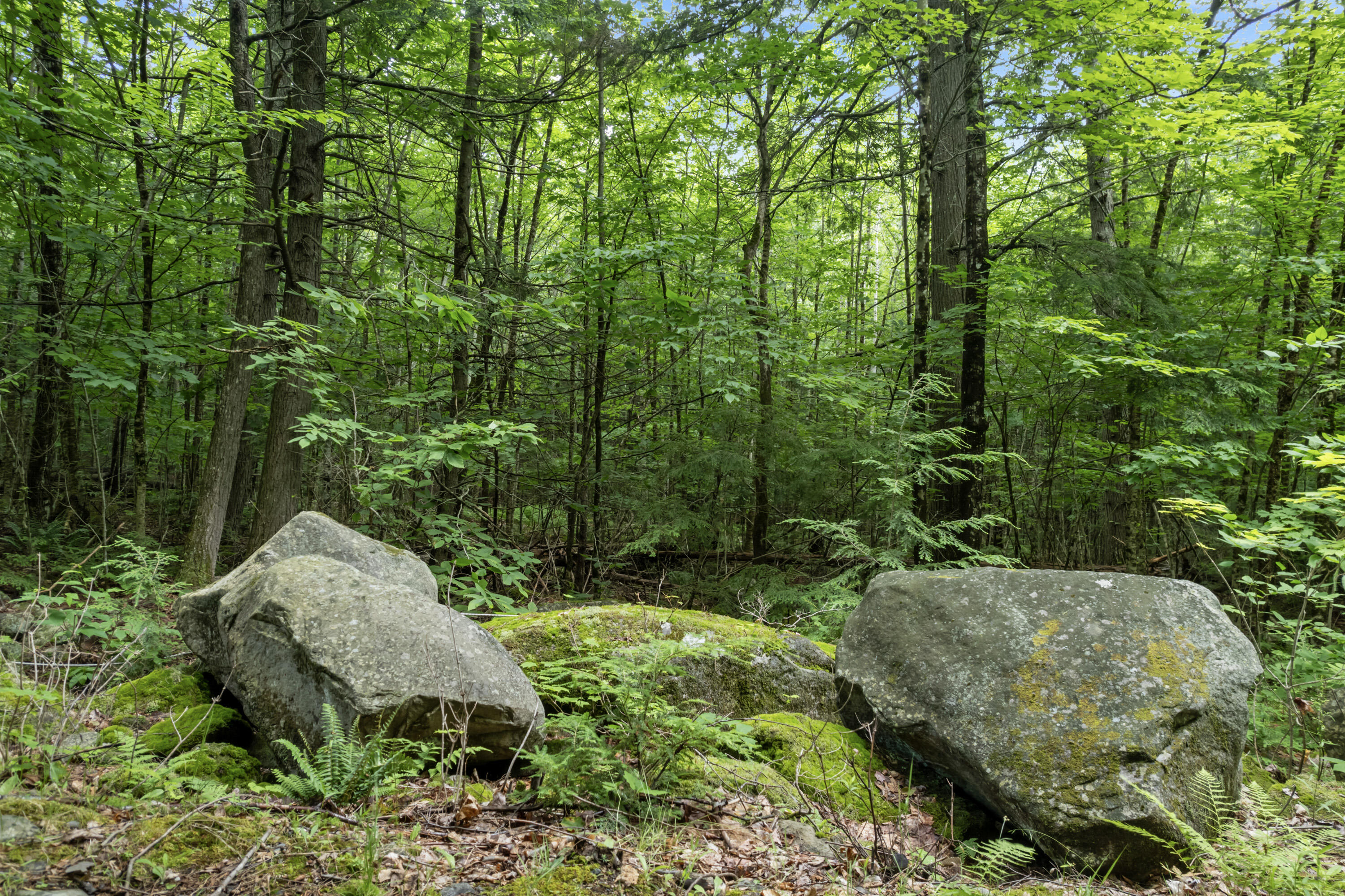 Map 14 Lots 71-77 Tranquility Road