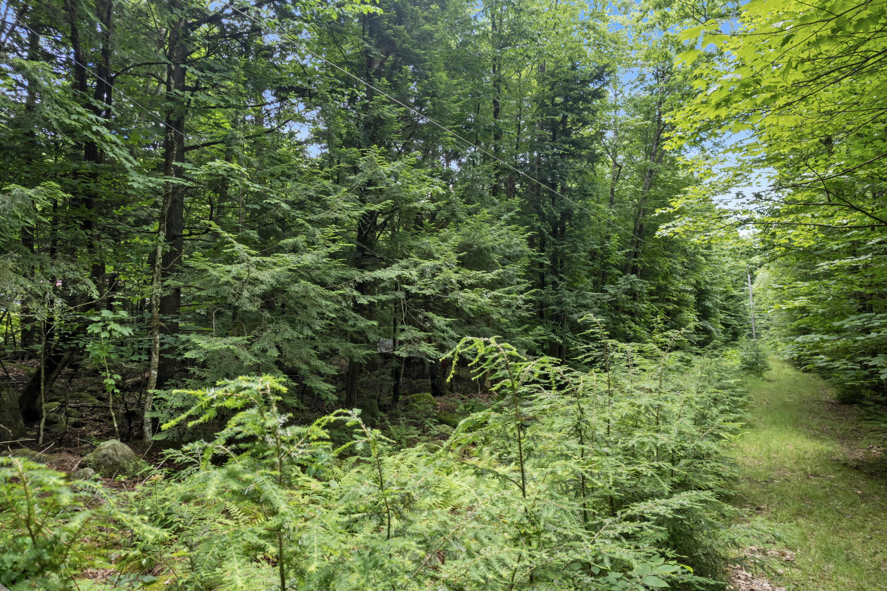 Map 14 Lots 71-77 Tranquility Road