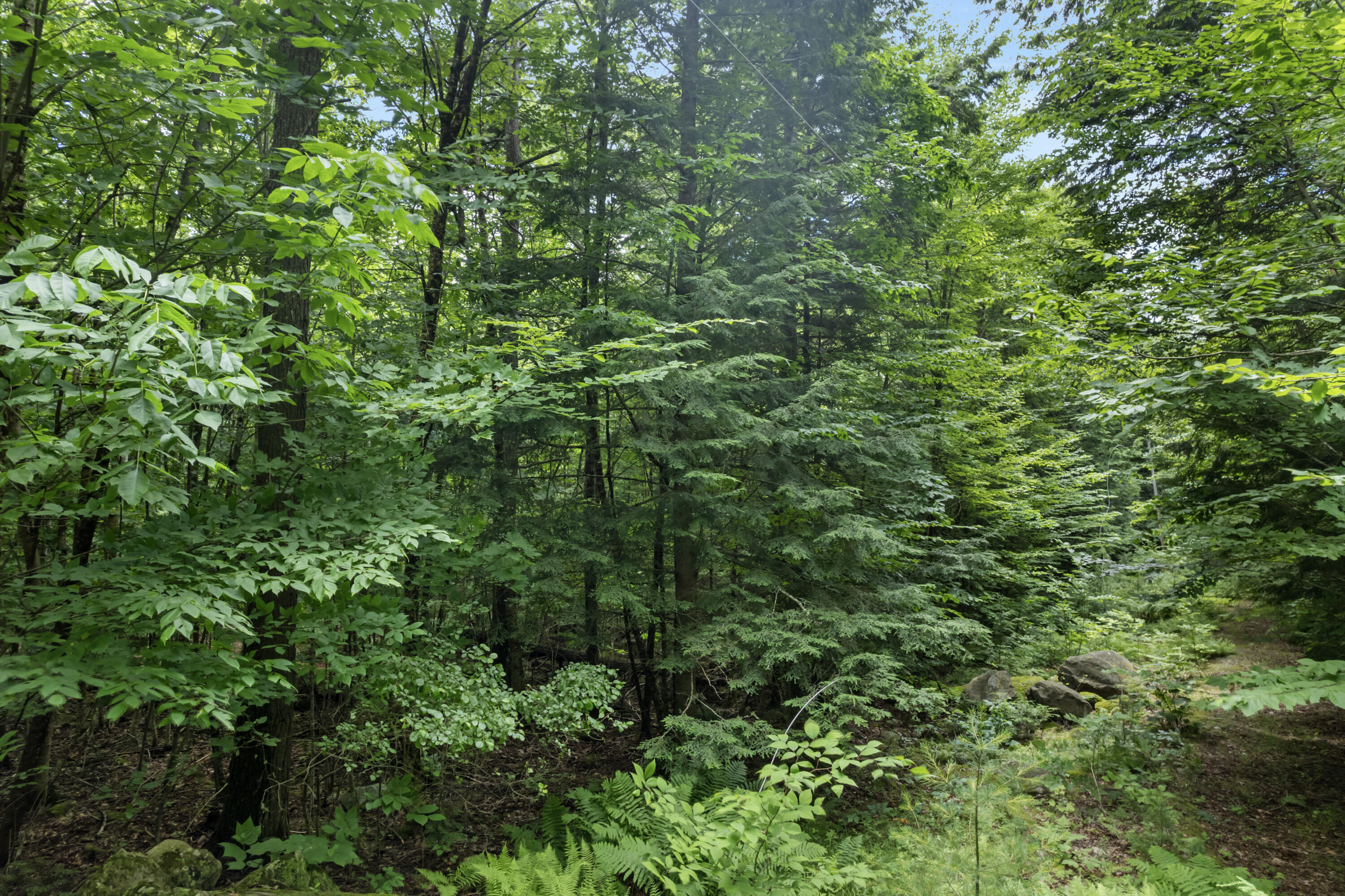 Map 14 Lots 71-77 Tranquility Road