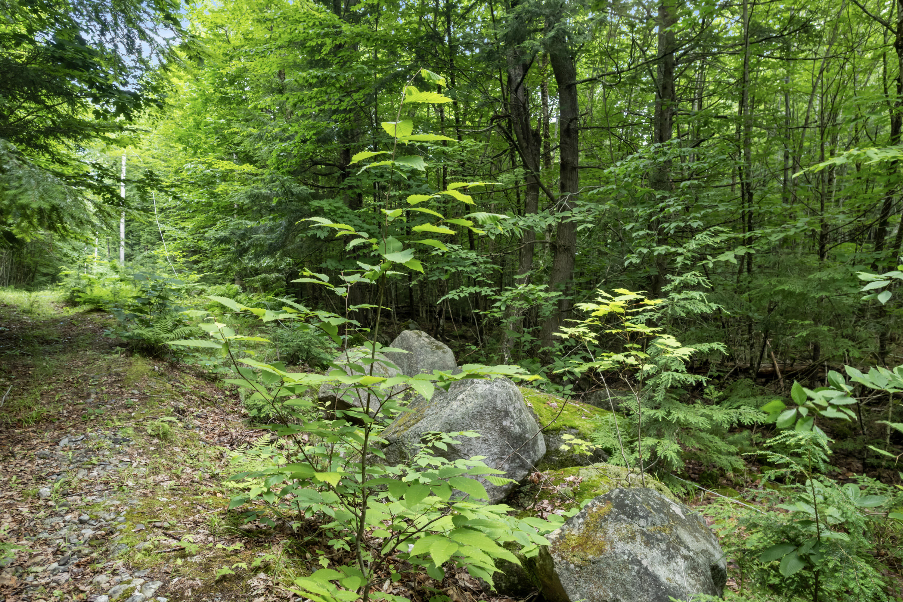Map 14 Lots 71-77 Tranquility Road