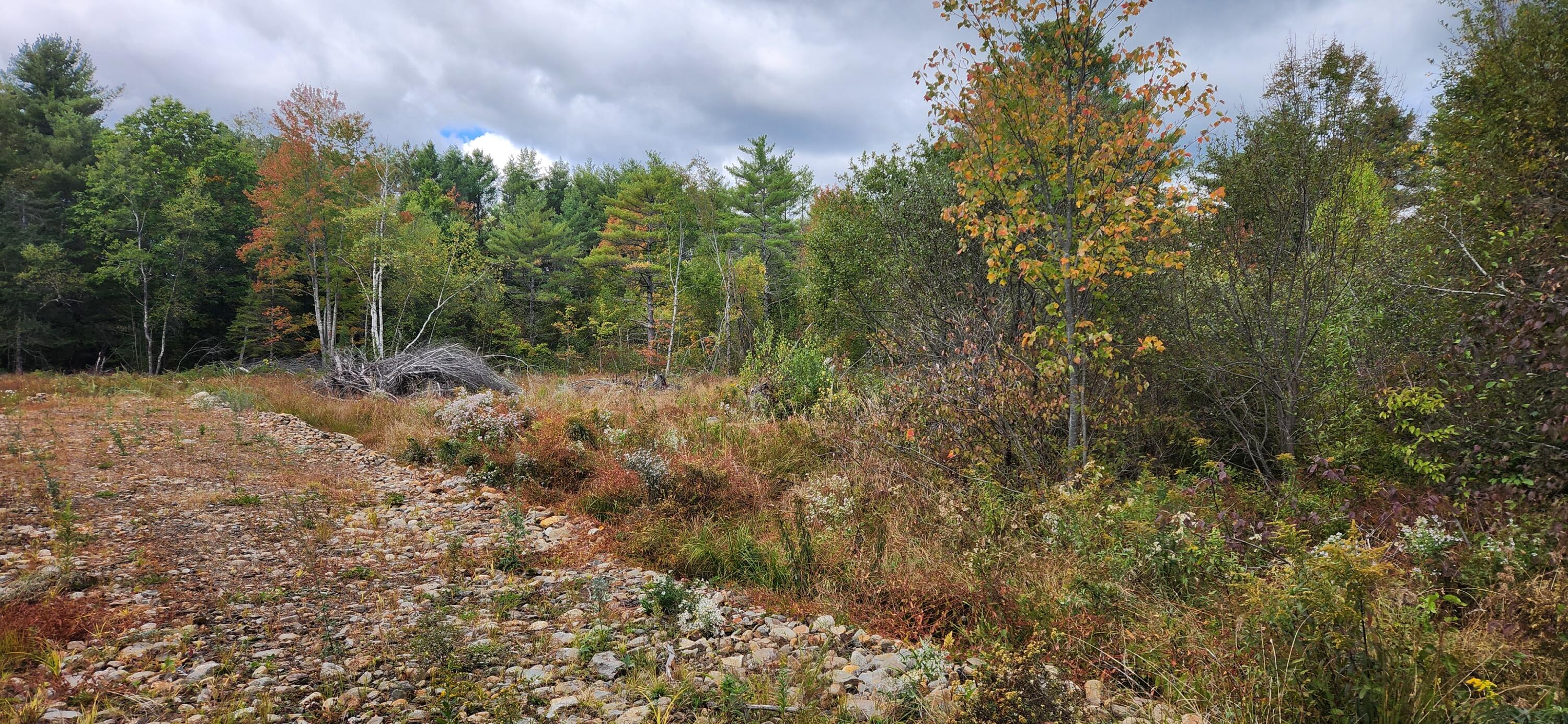 11 Sheepscot Way