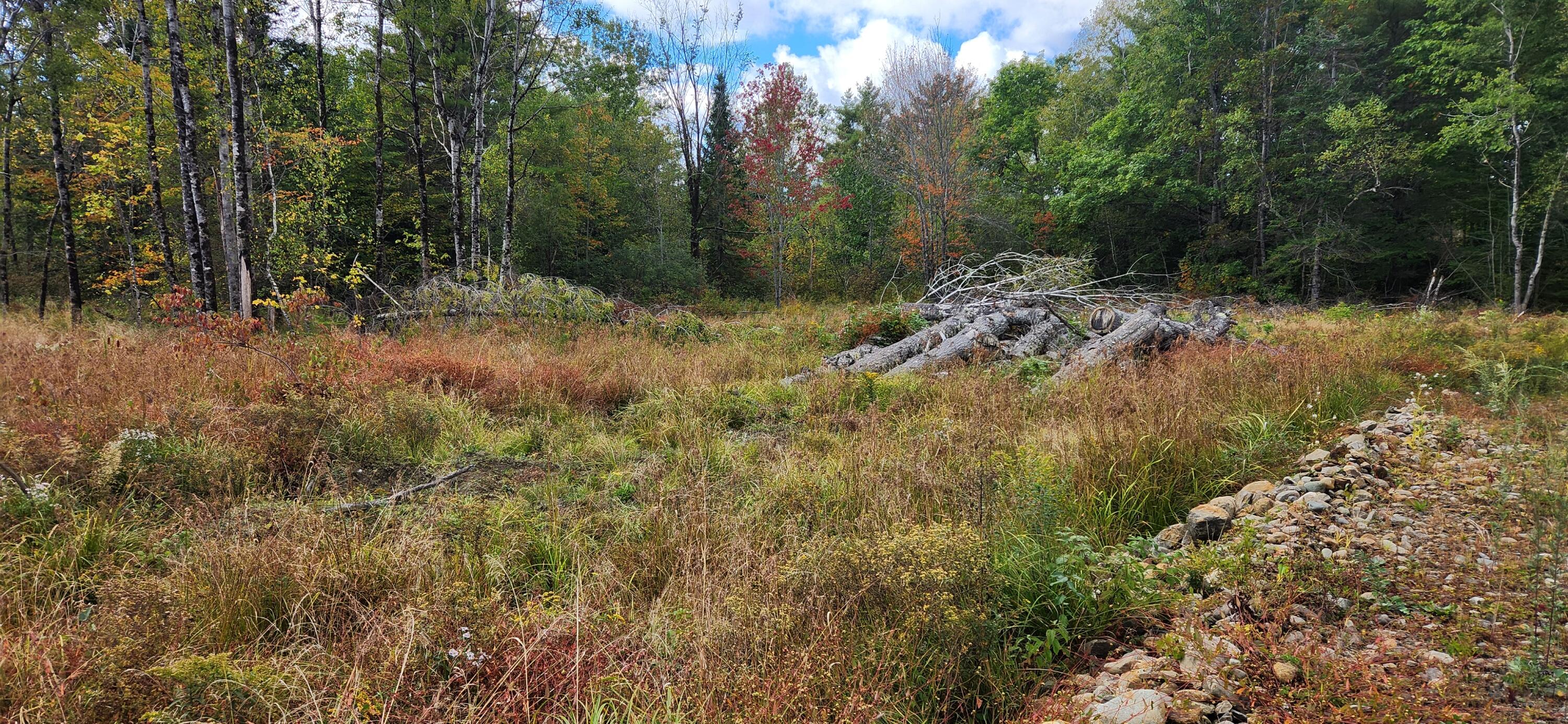 11 Sheepscot Way