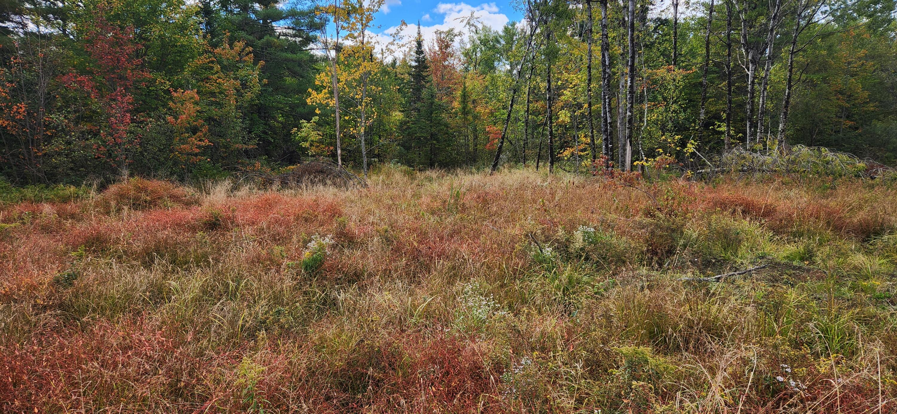 11 Sheepscot Way