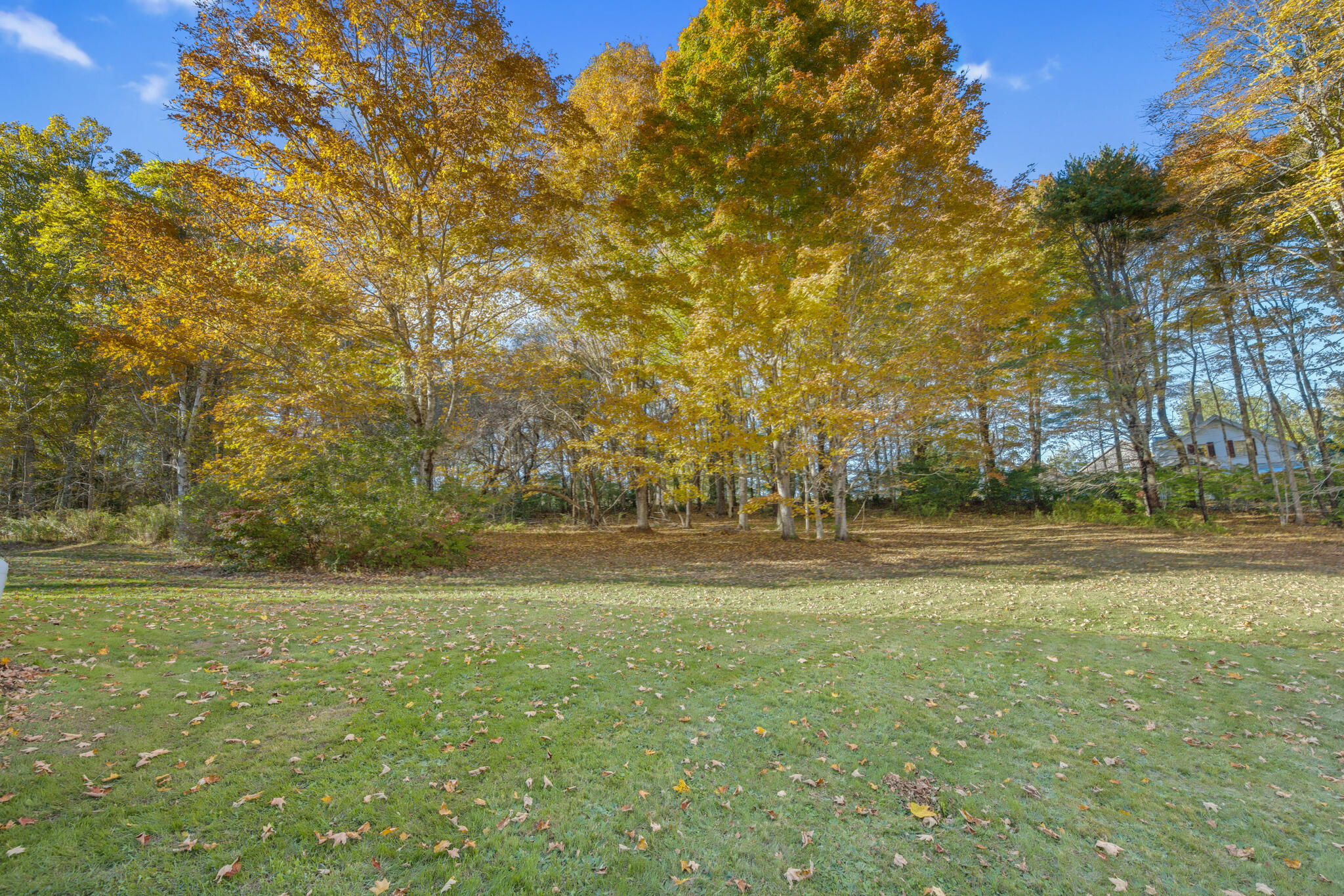 290 Back Meadow Road