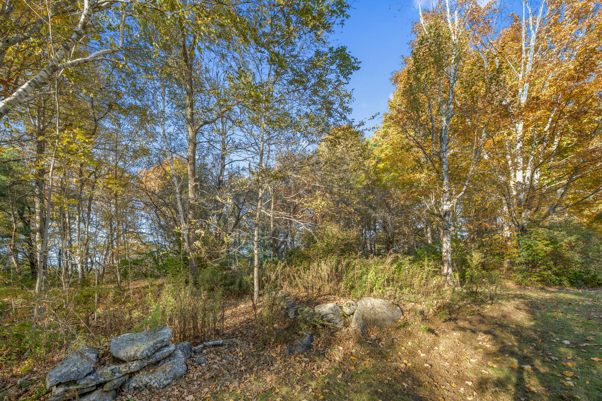 290 Back Meadow Road