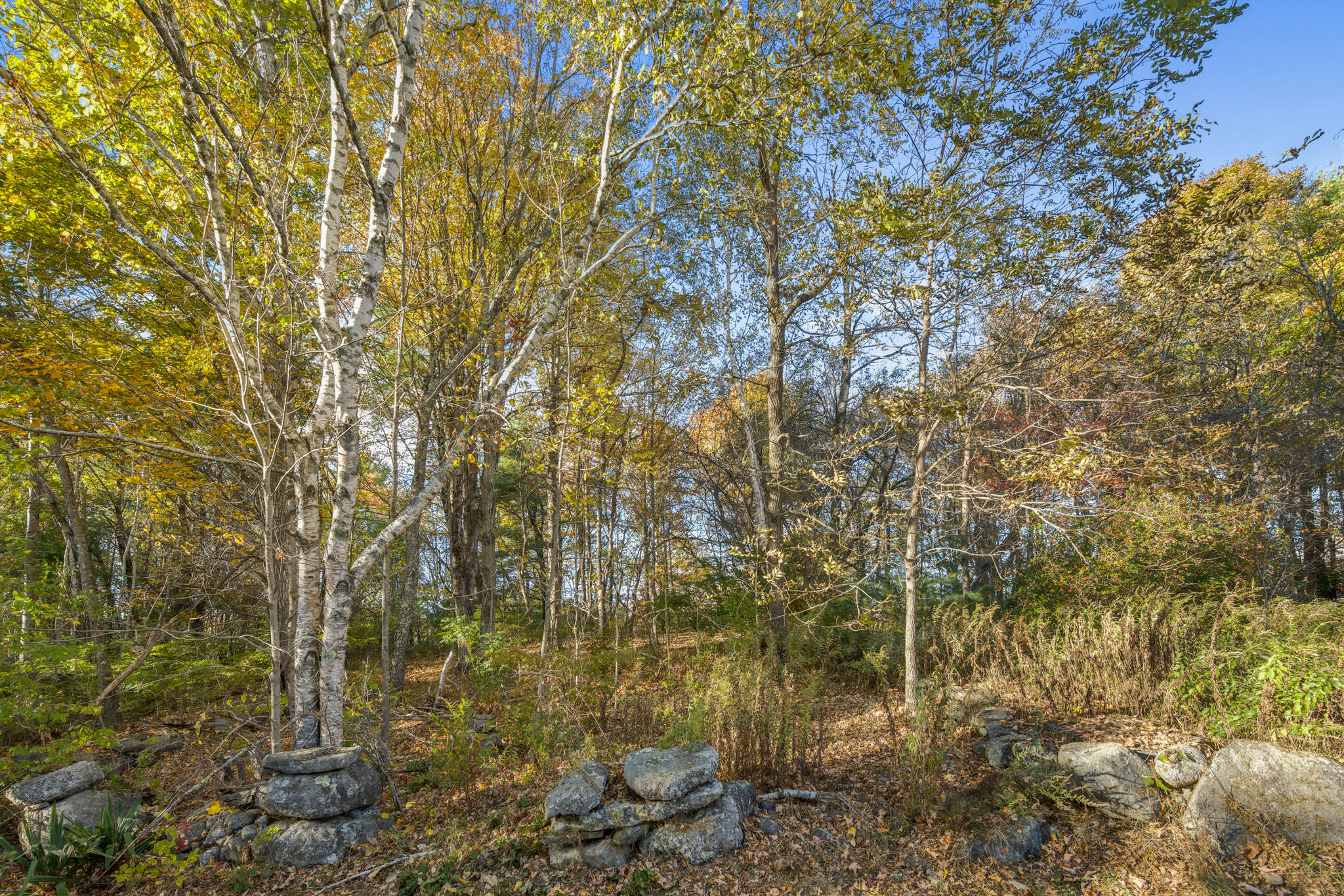 290 Back Meadow Road