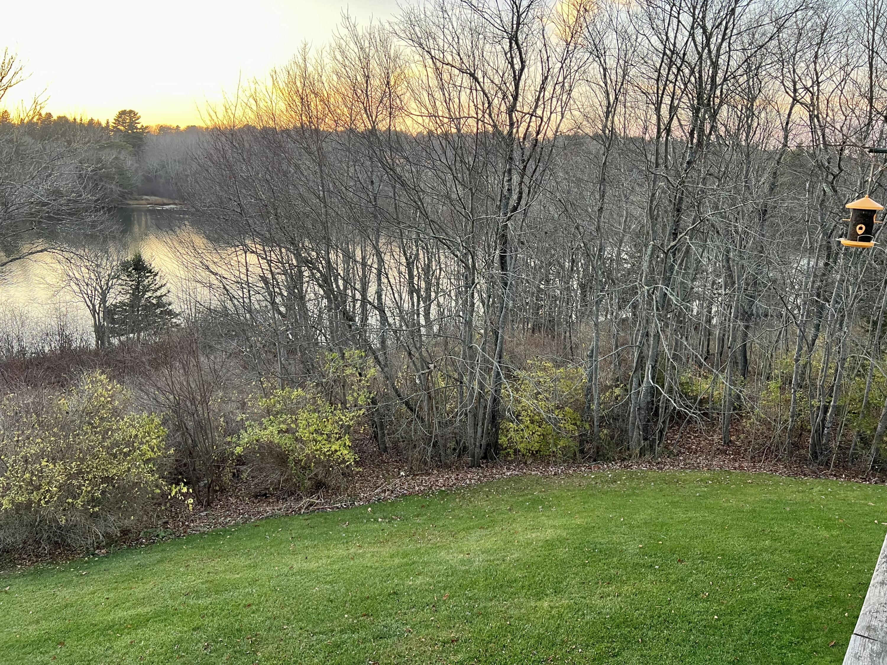 104 Raccoon Road