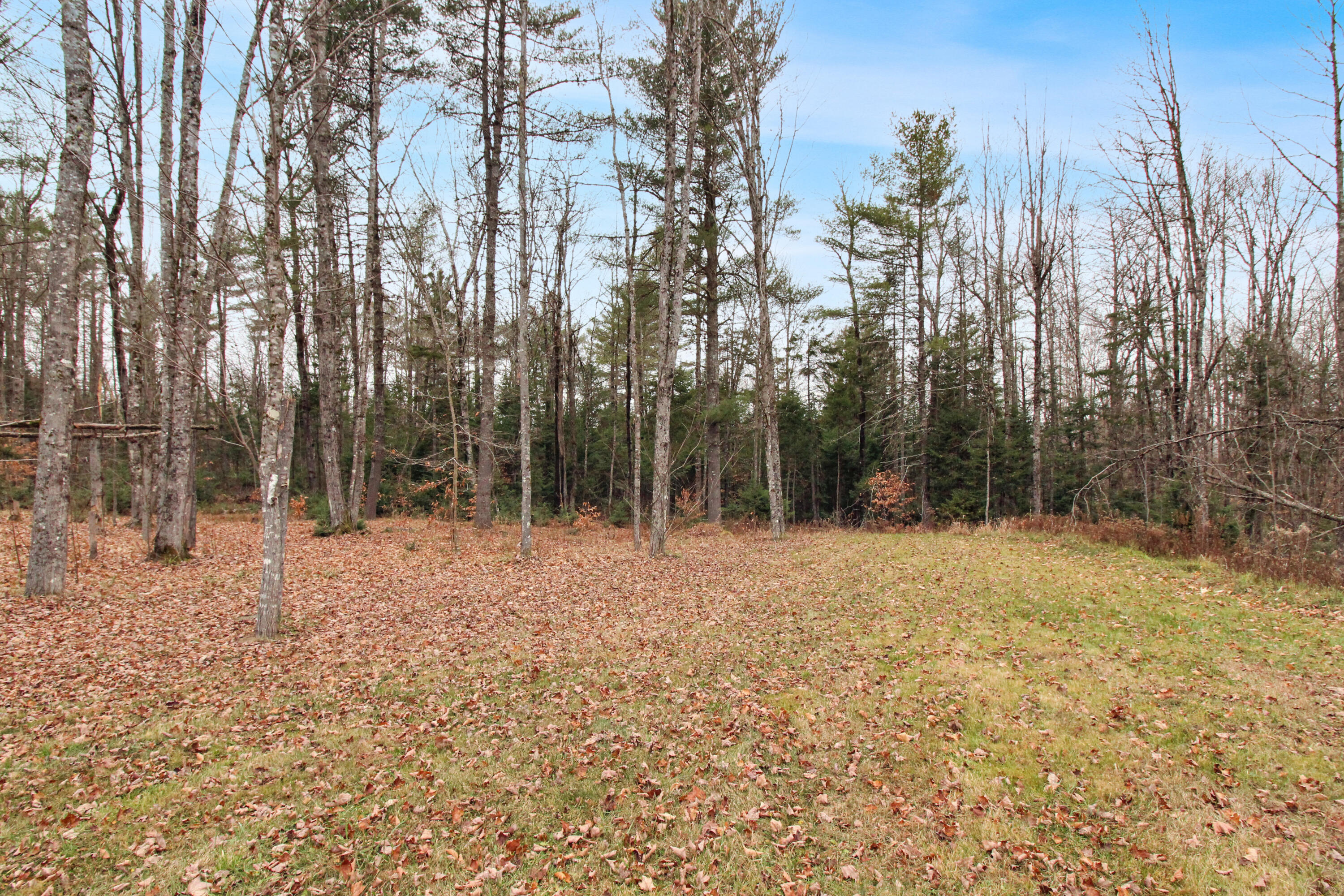 445 Big Bunker Hill Road