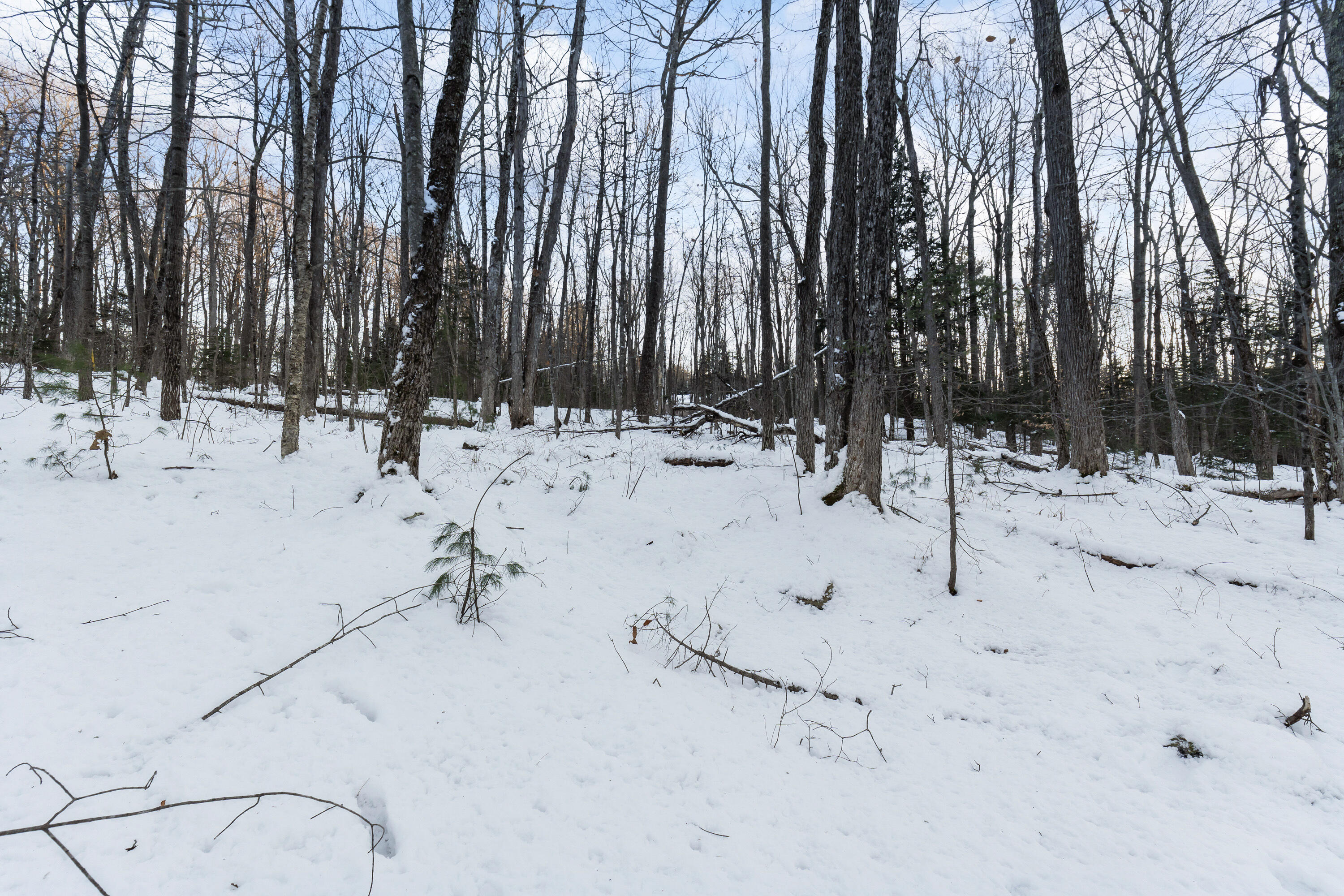 Lot 3A1 Prescott Road