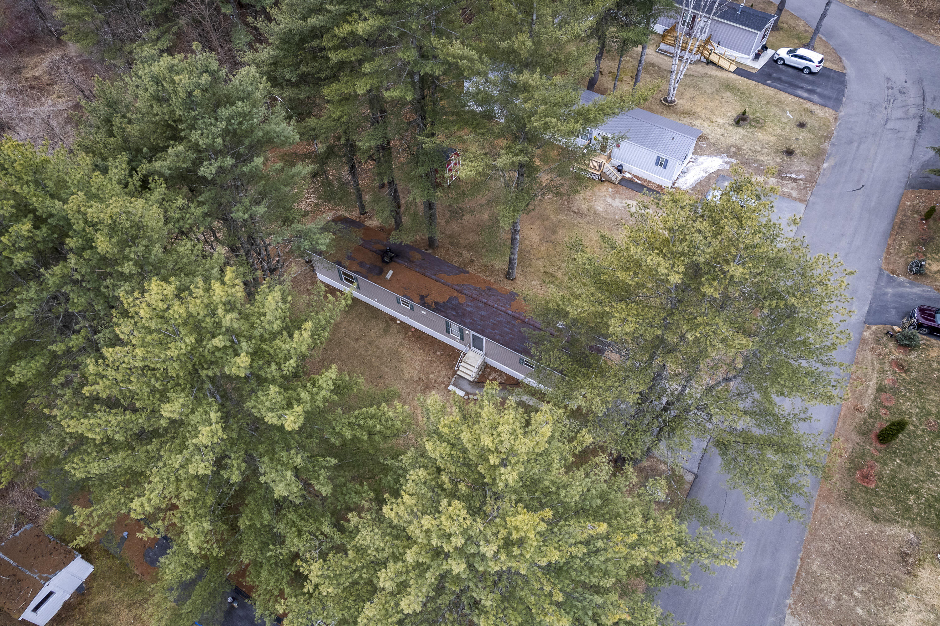 31 Monarch Drive