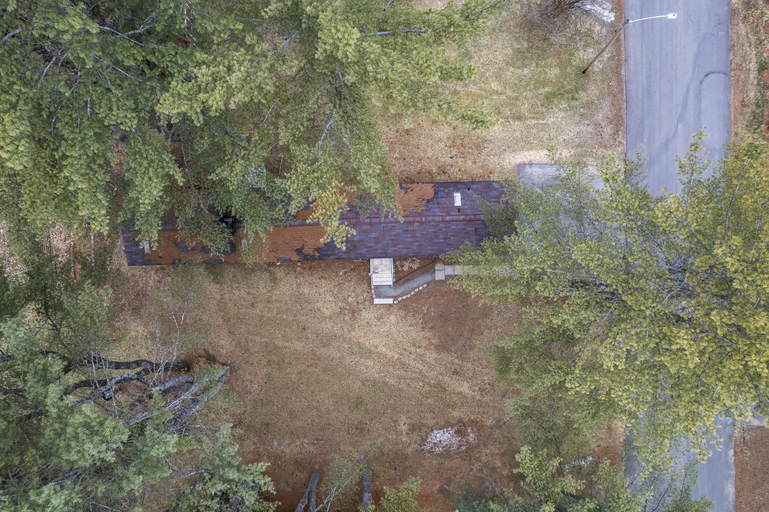 31 Monarch Drive