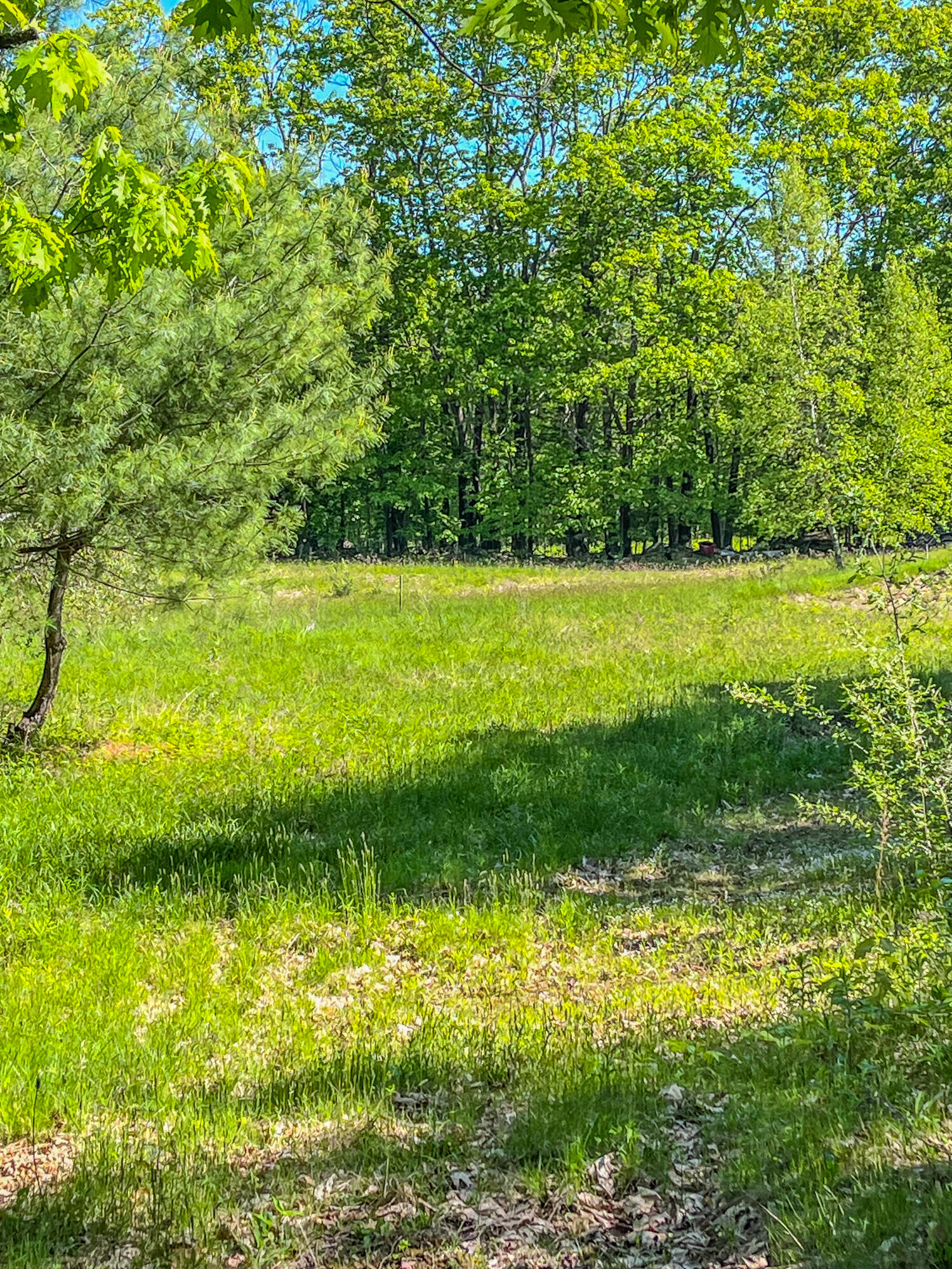 13 S Dondero Road