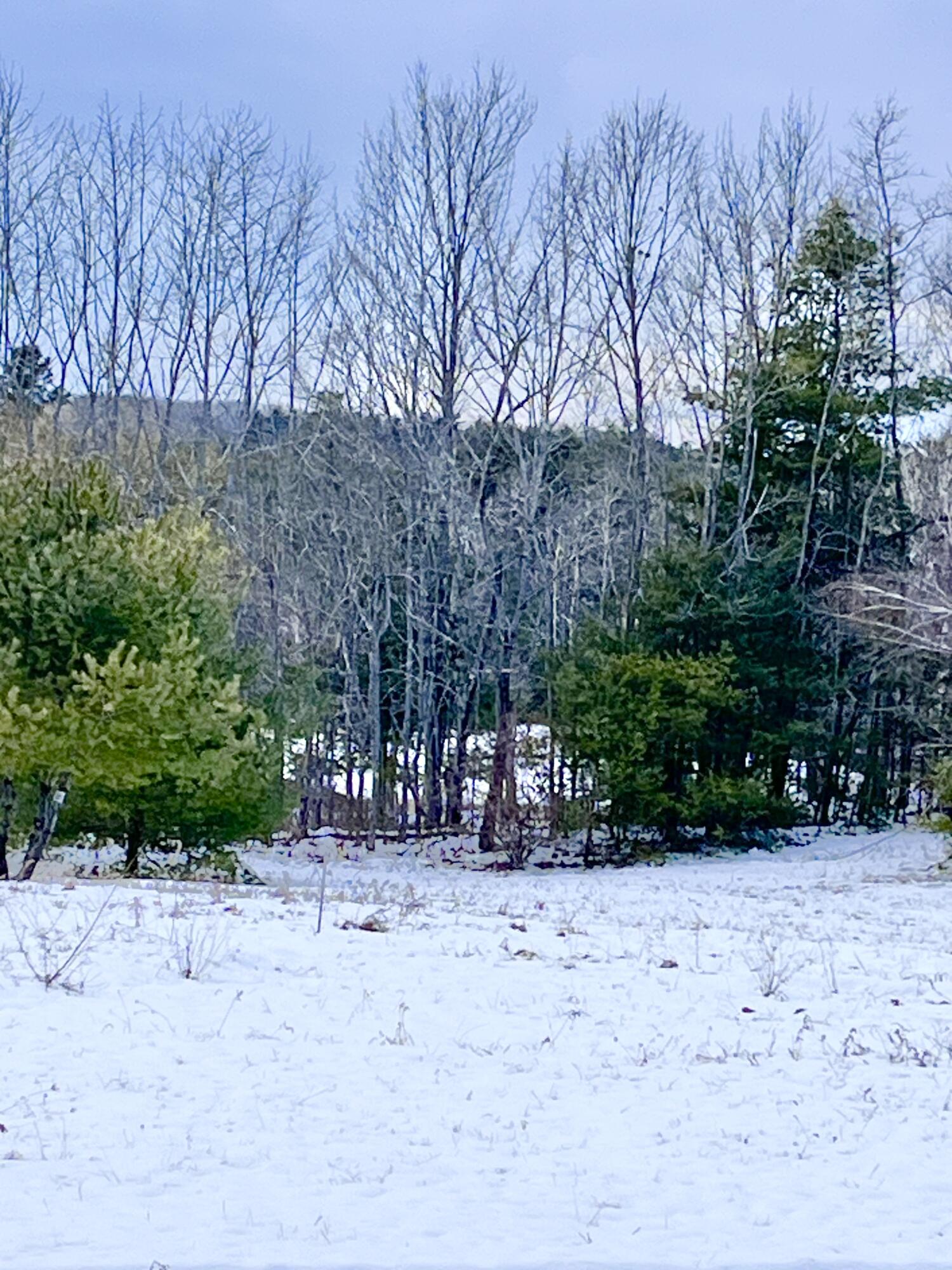 13 S Dondero Road